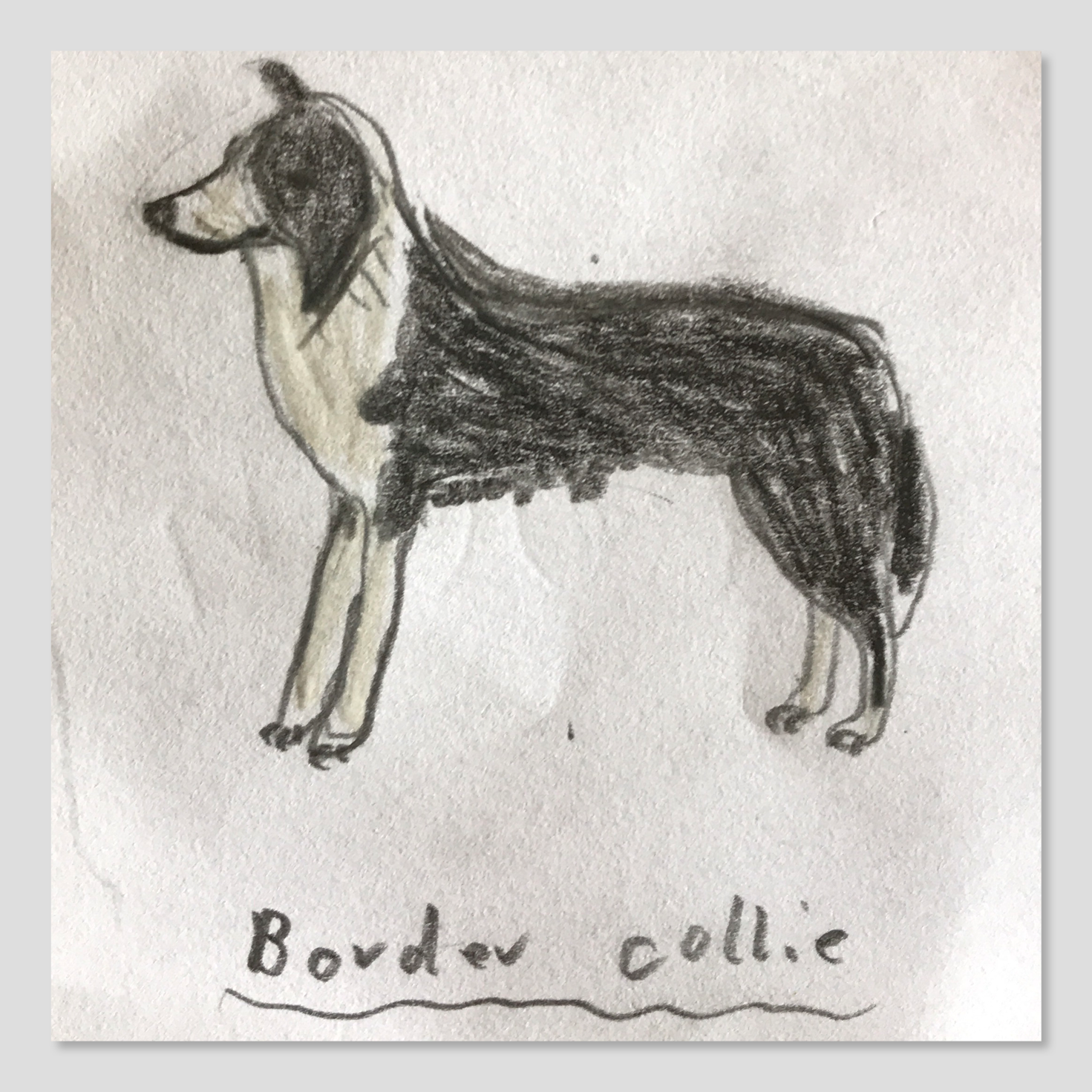 Elephant Studio   ­