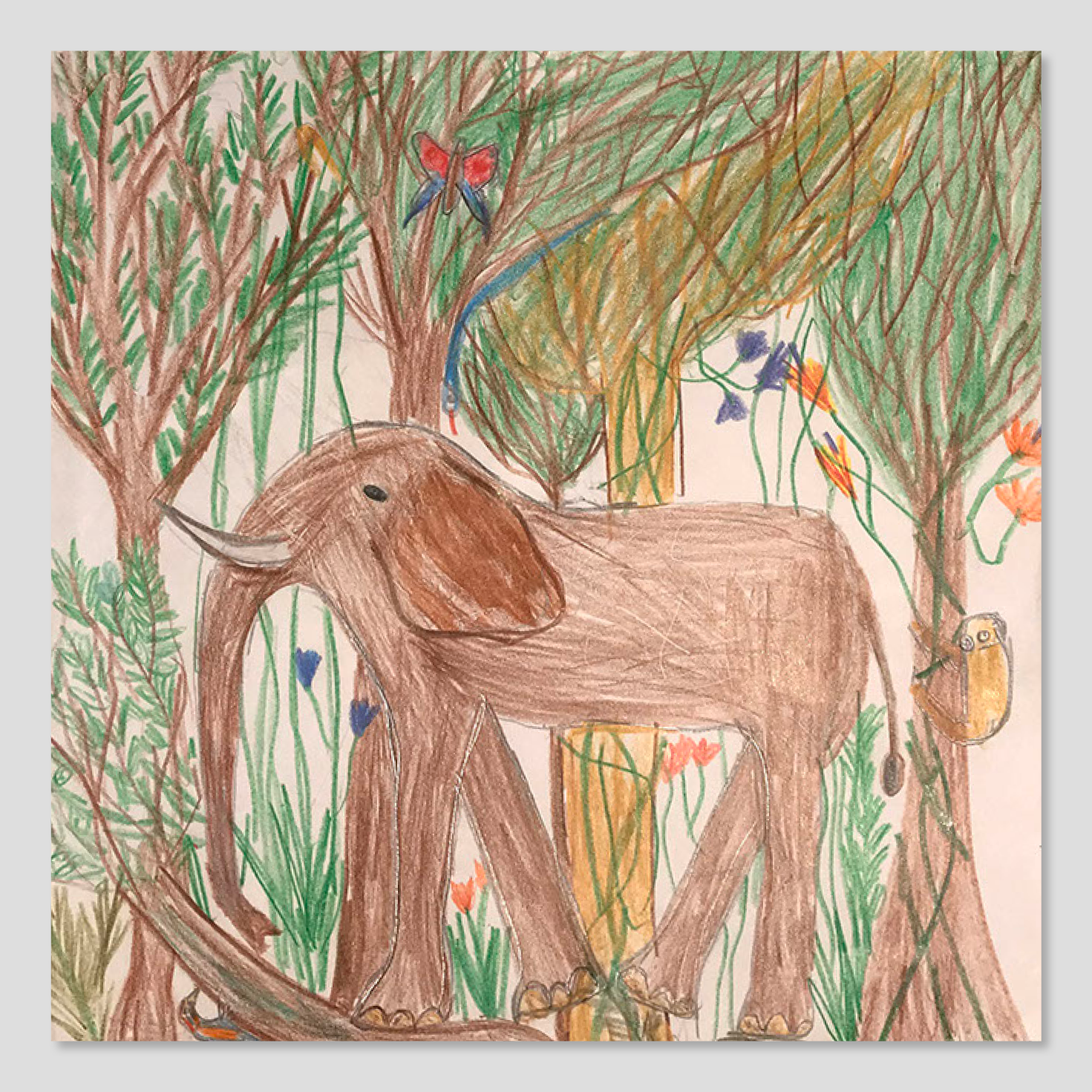 Elephant Studio   ­