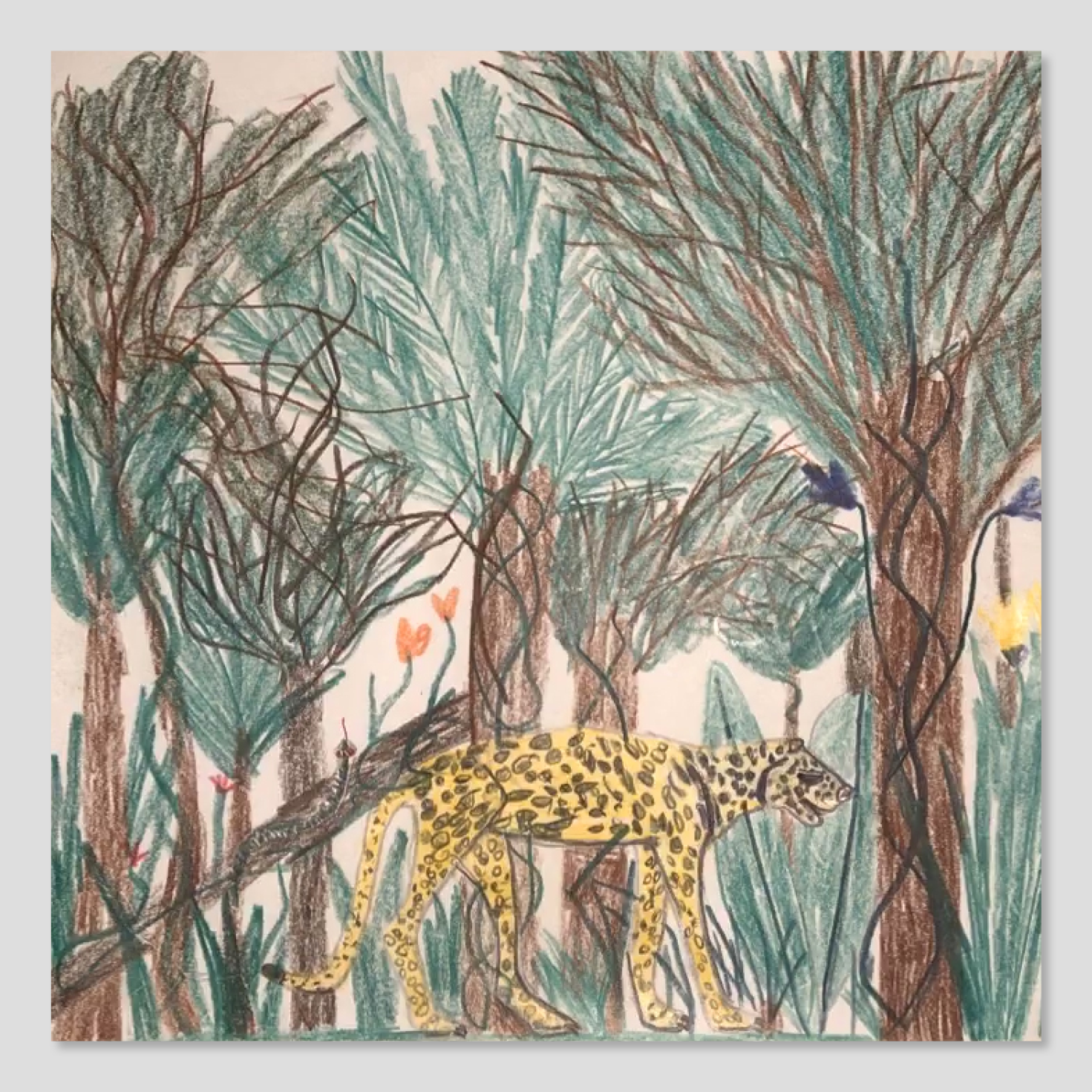 Elephant Studio   ­