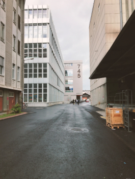 Elephant Studio   ­