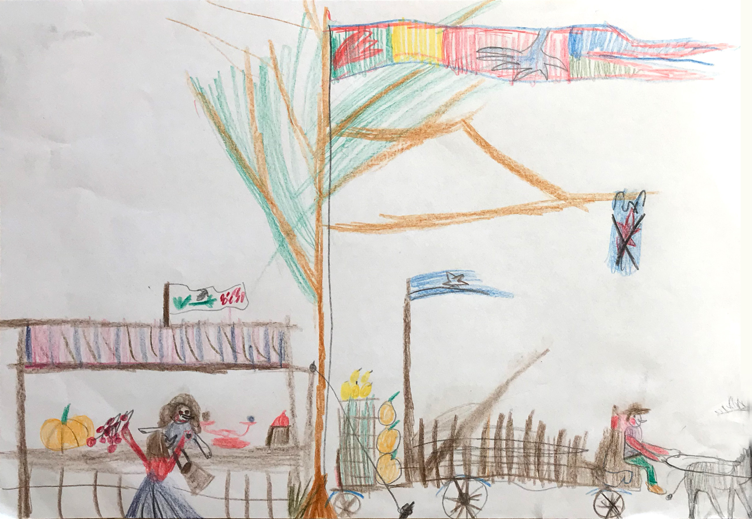 Elephant Studio   ­