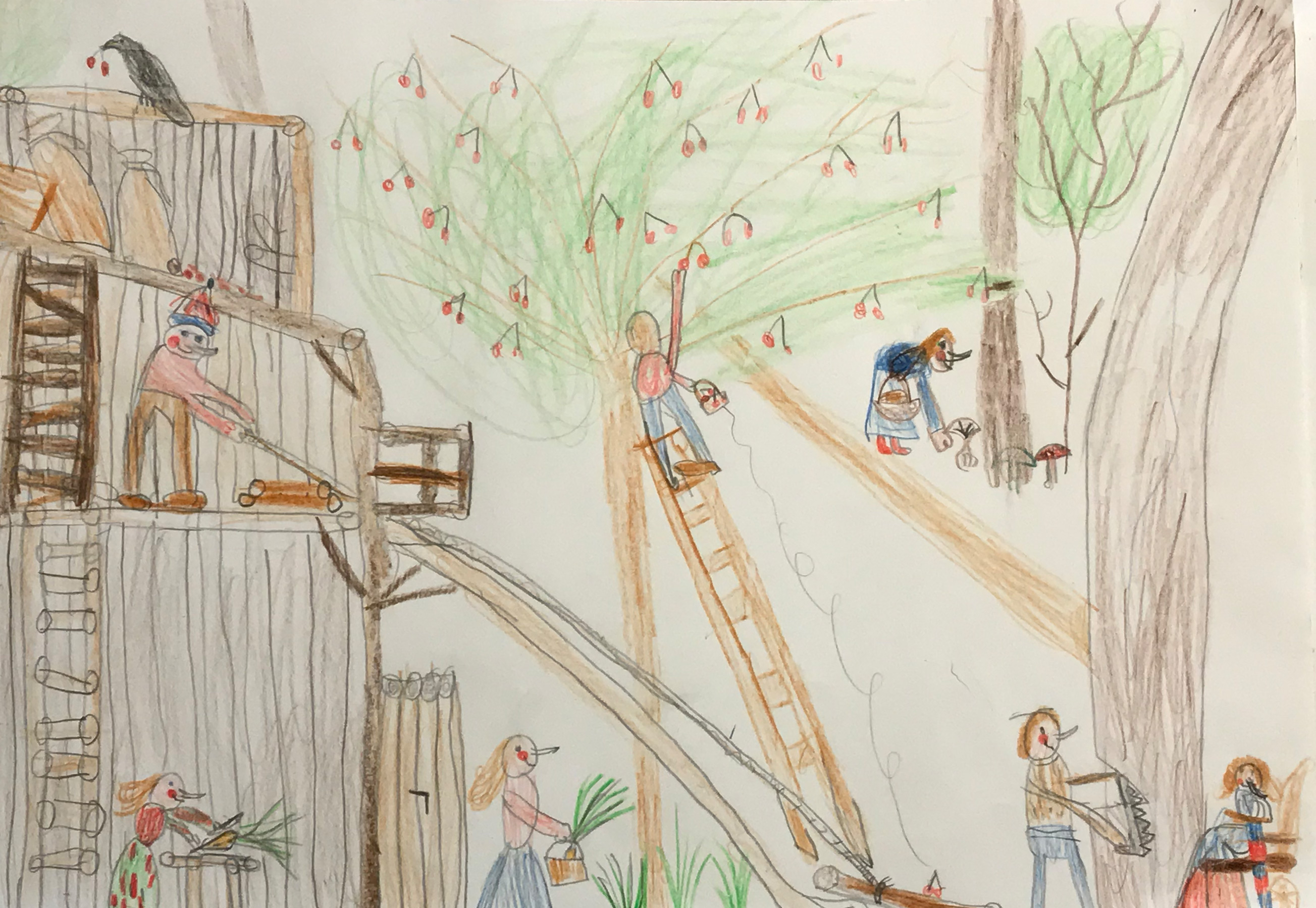 Elephant Studio   ­