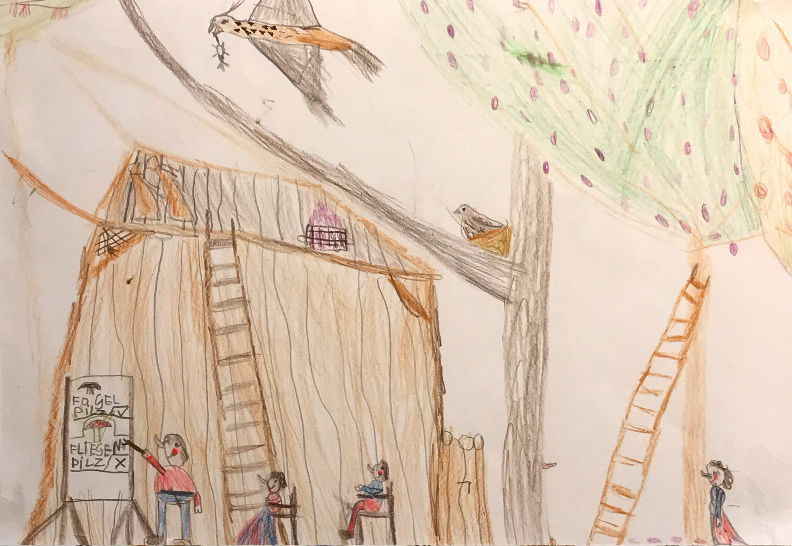 Elephant Studio   ­