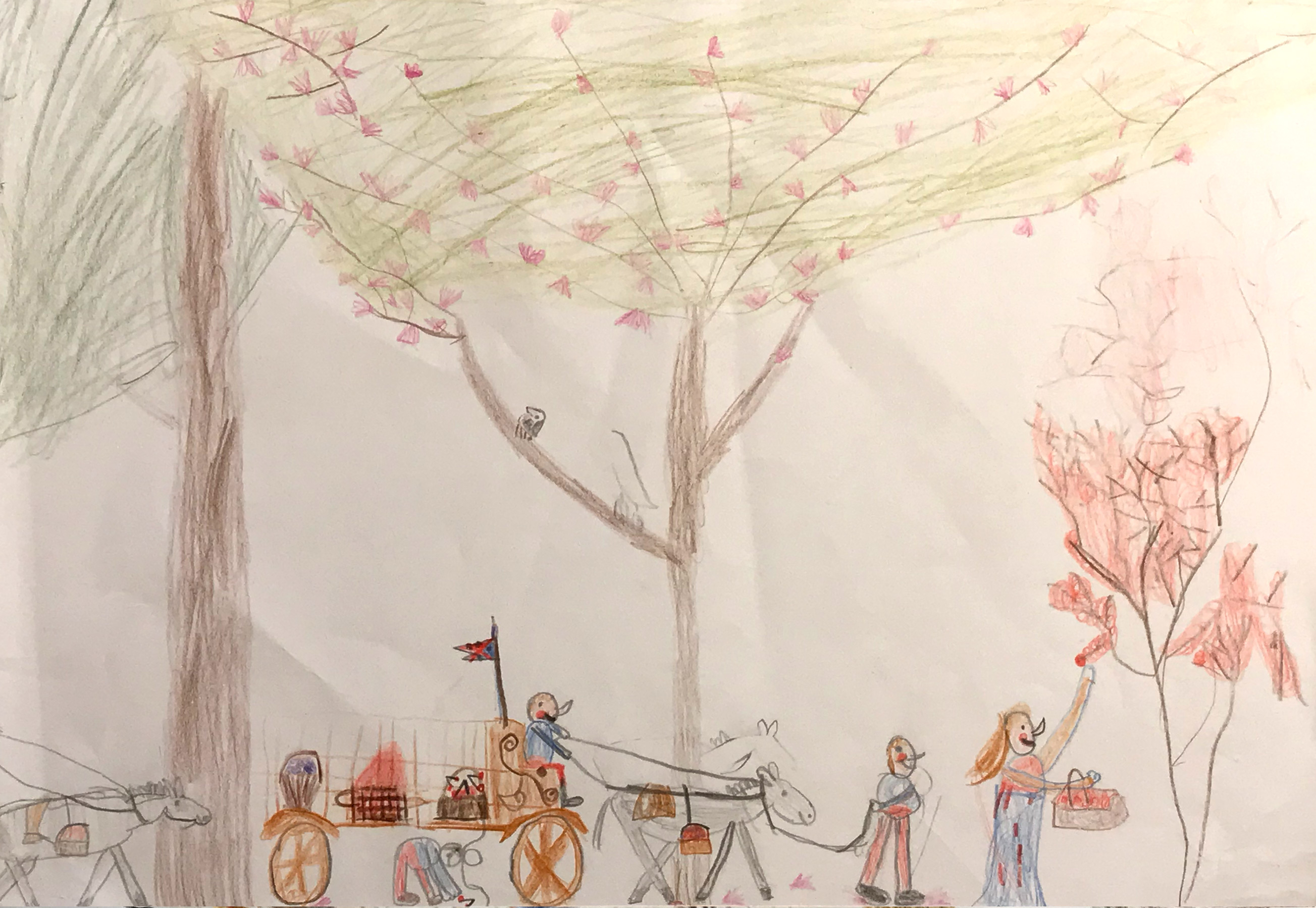 Elephant Studio   ­