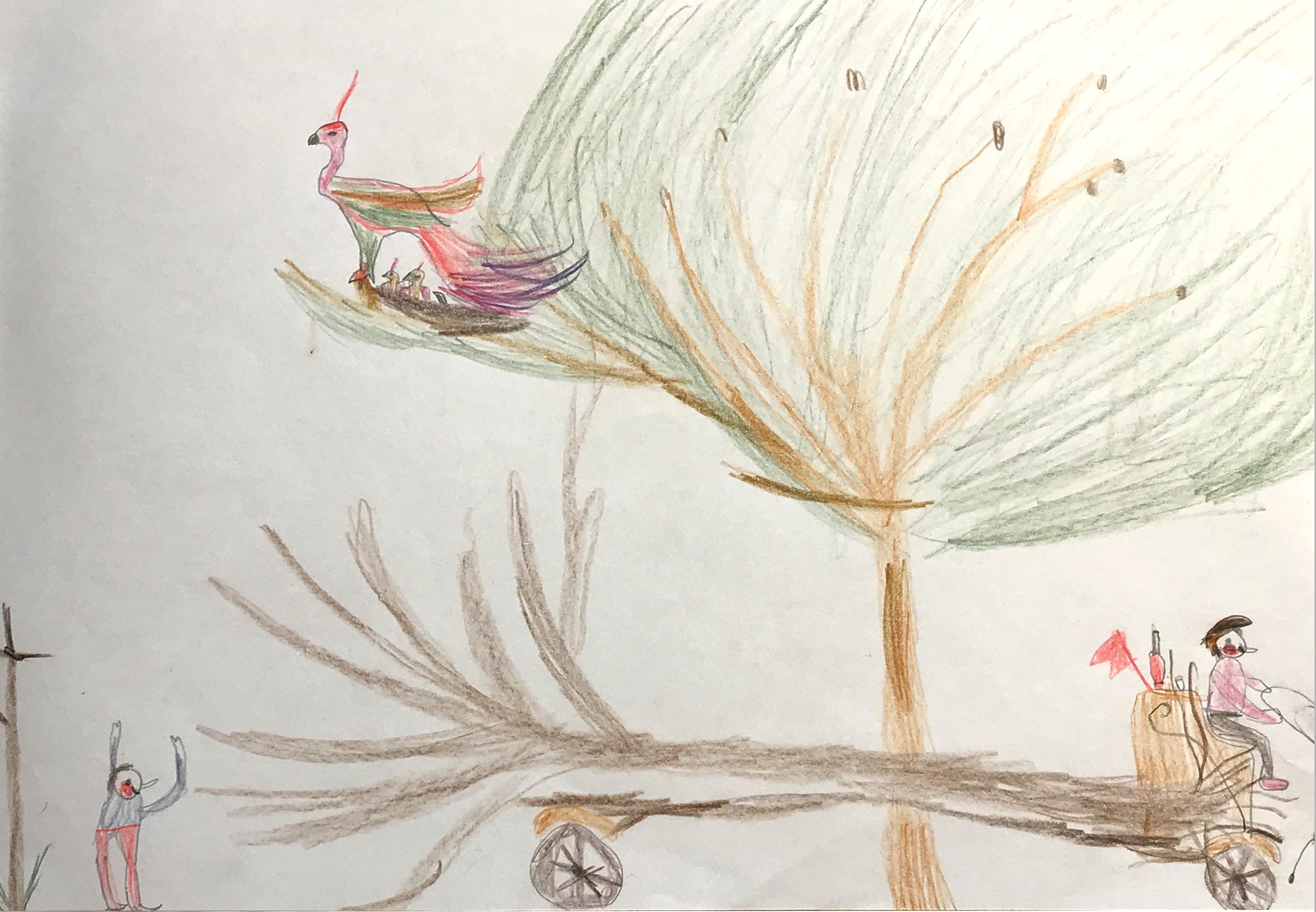 Elephant Studio   ­