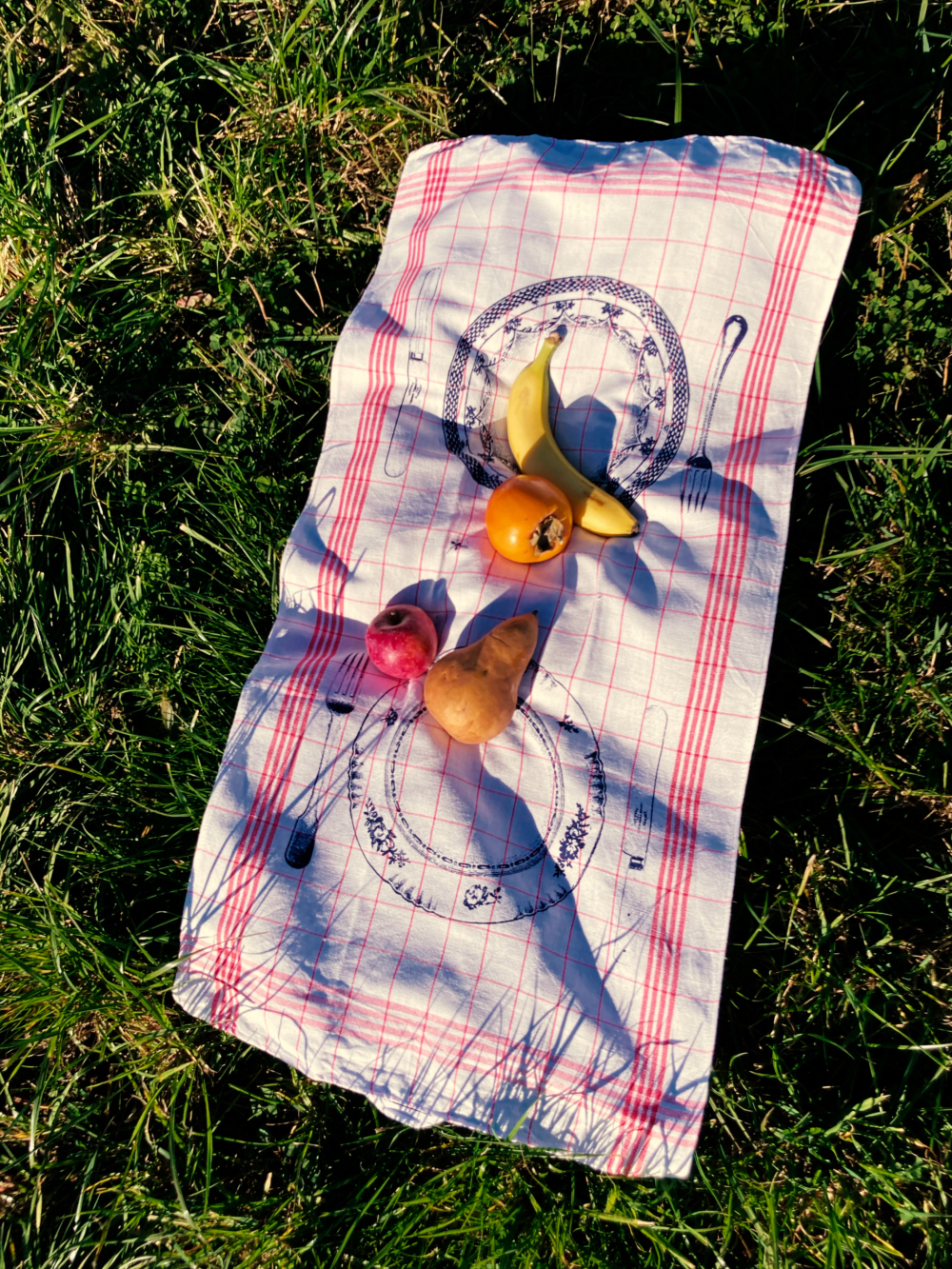 Elephant Studio   ­