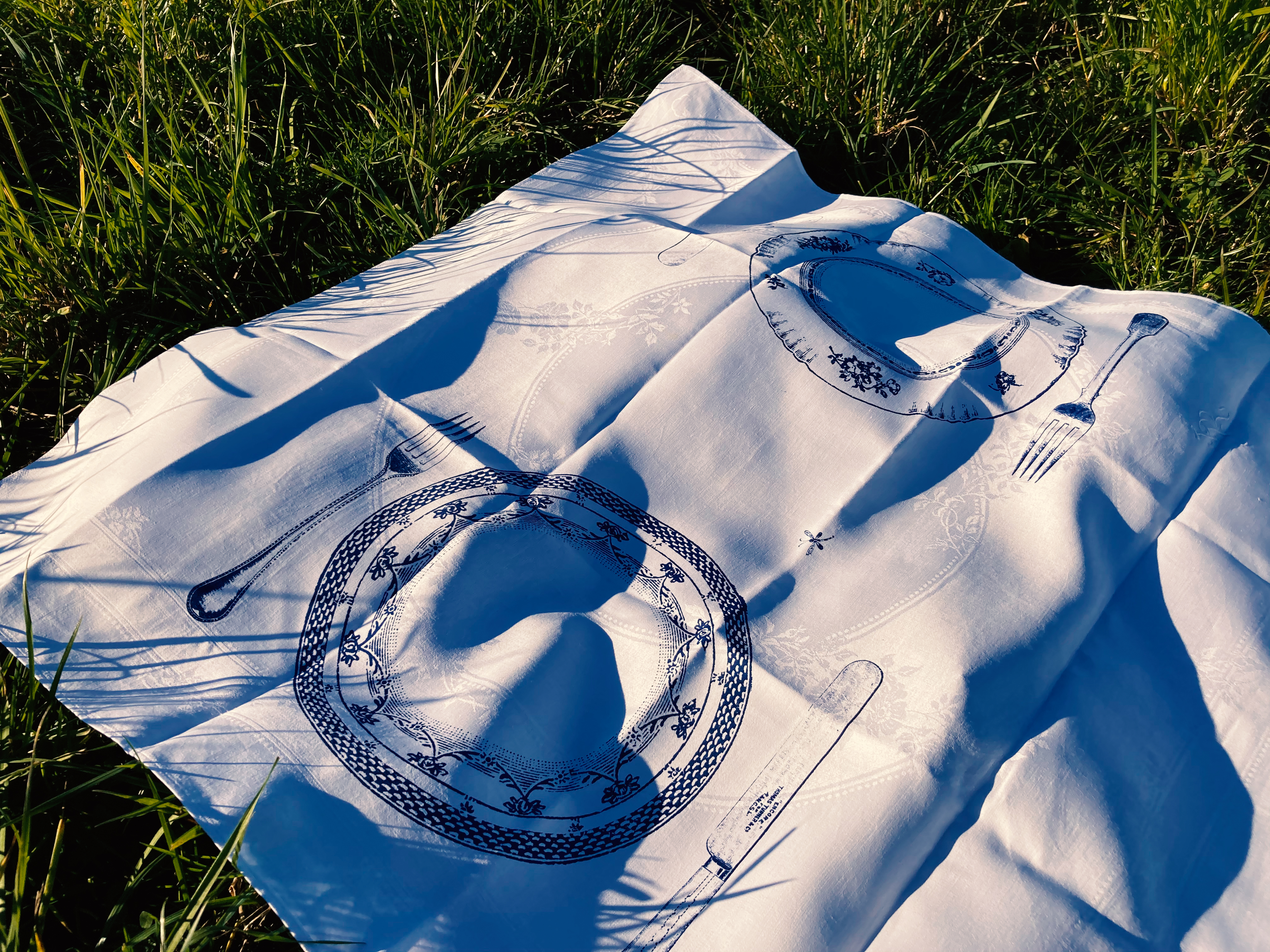 Elephant Studio   ­