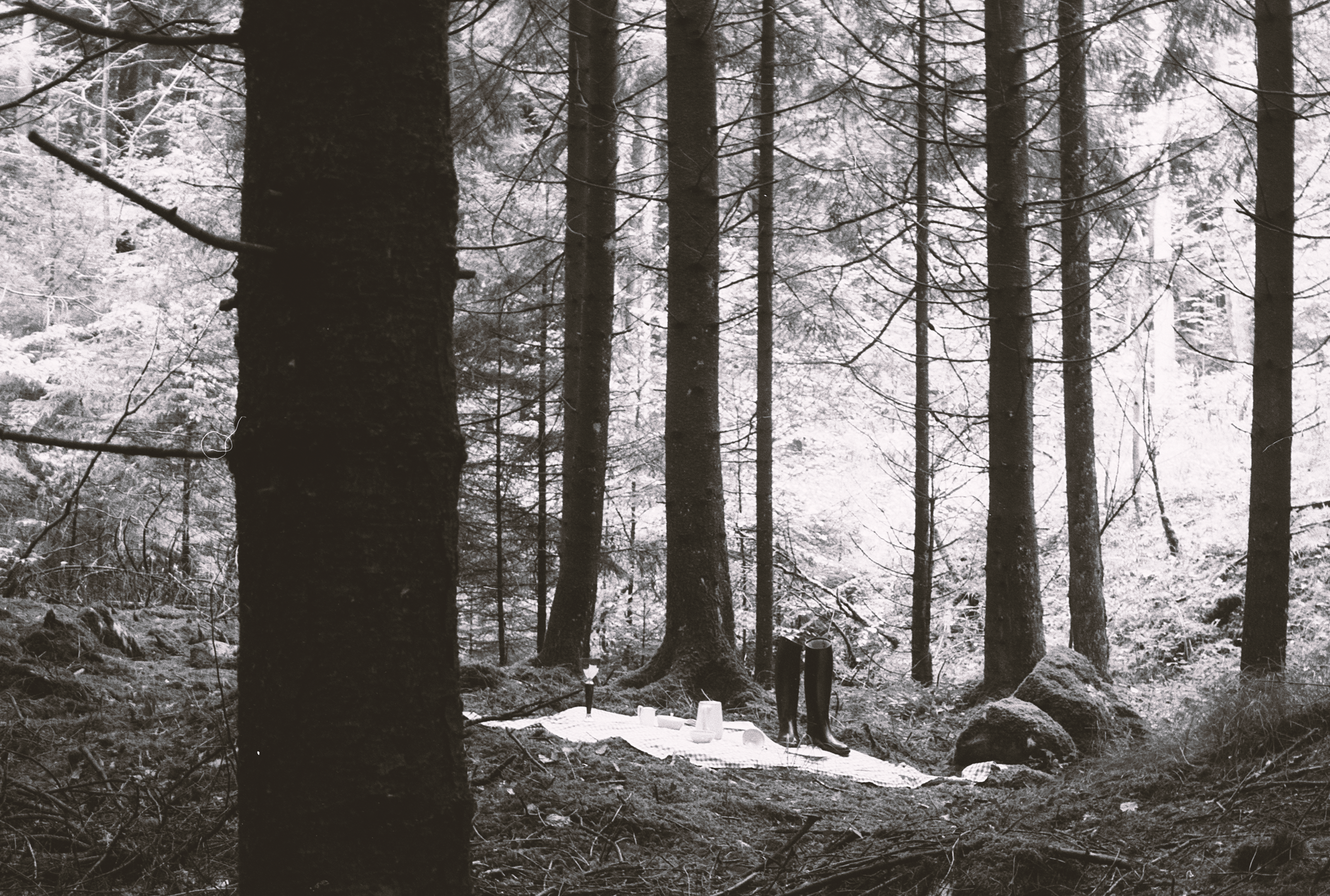 Elephant Studio   ­