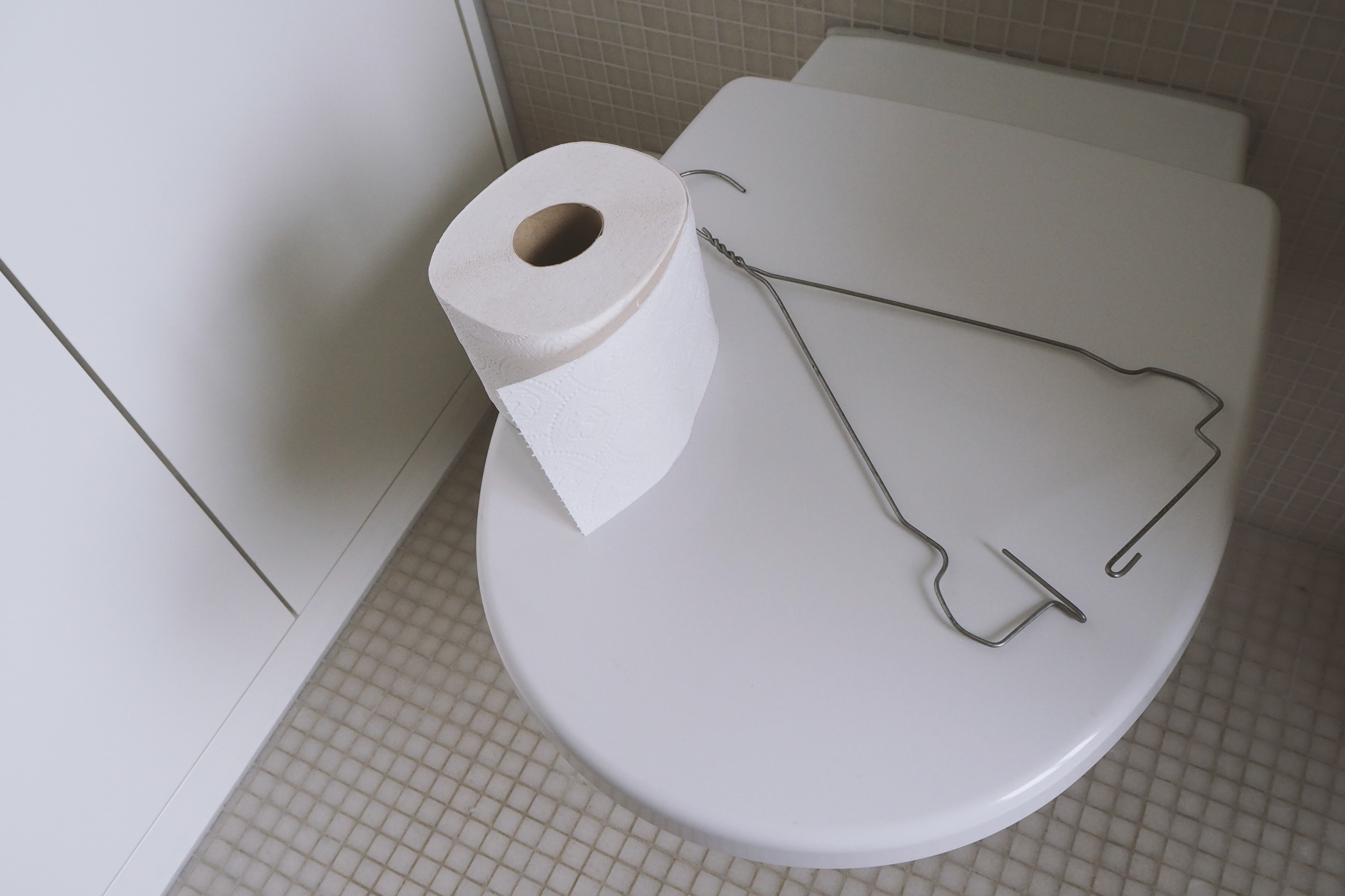 Elephant Studio   ­