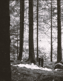 Elephant Studio   ­