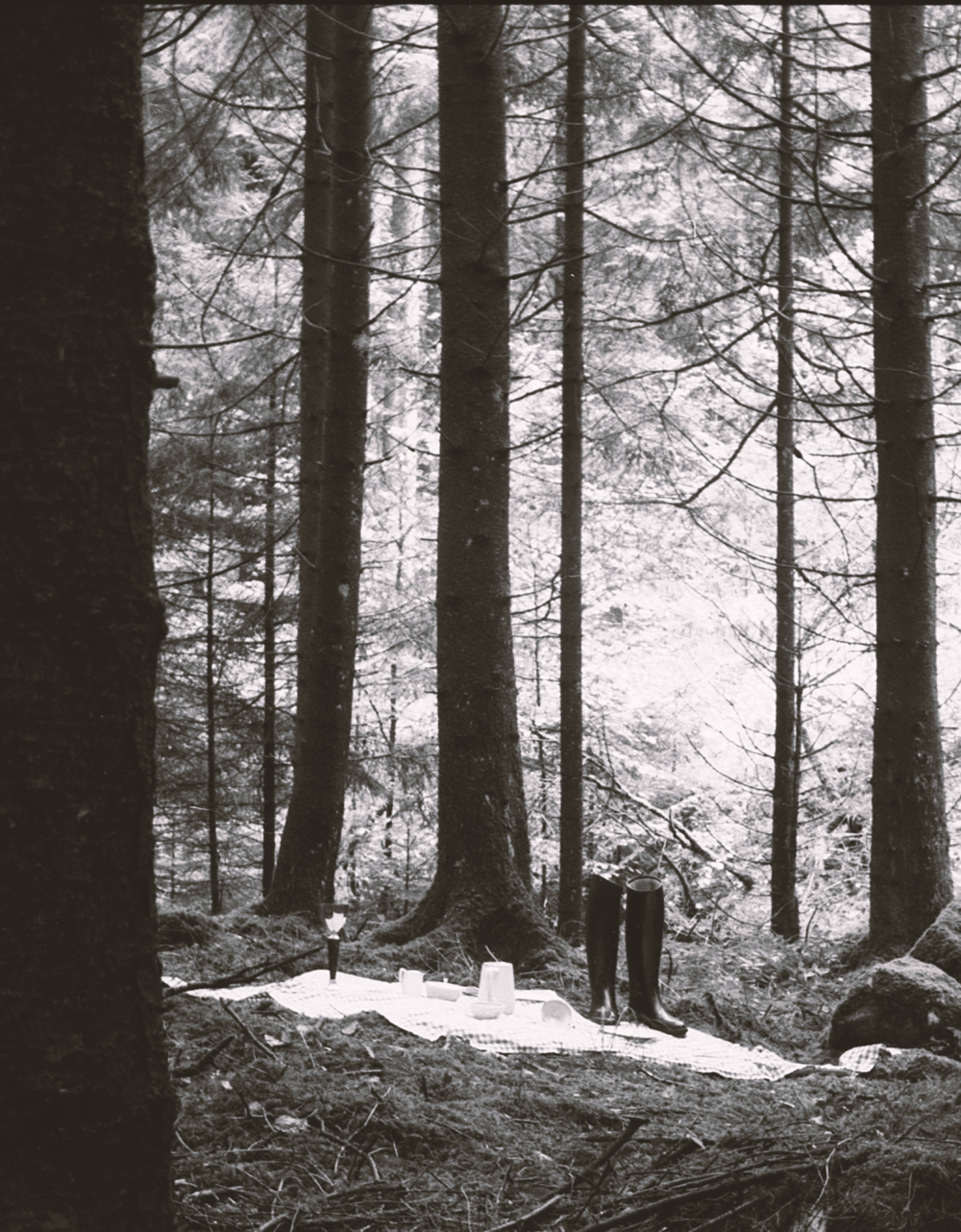 Elephant Studio   ­