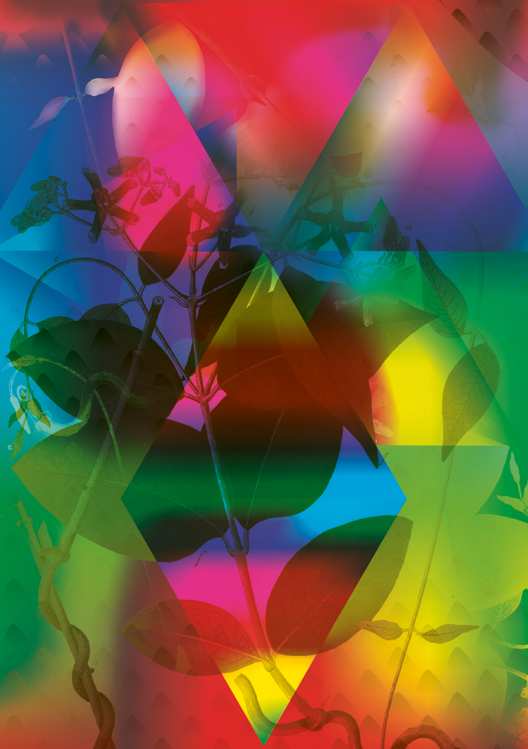 Elephant Studio   ­