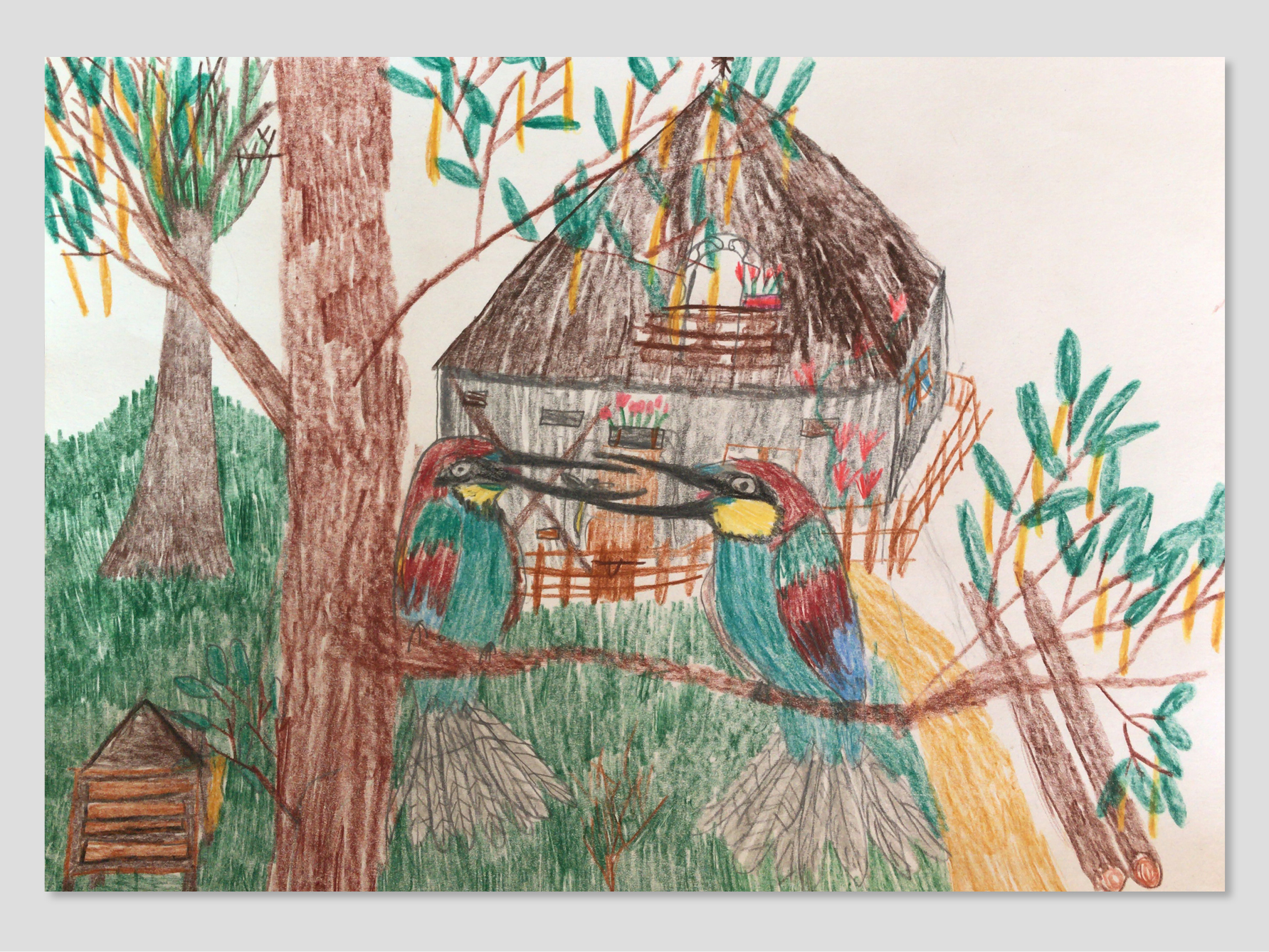 Elephant Studio   ­