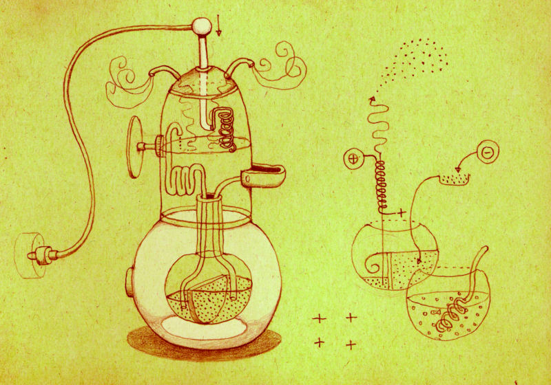 Elephant Studio   ­