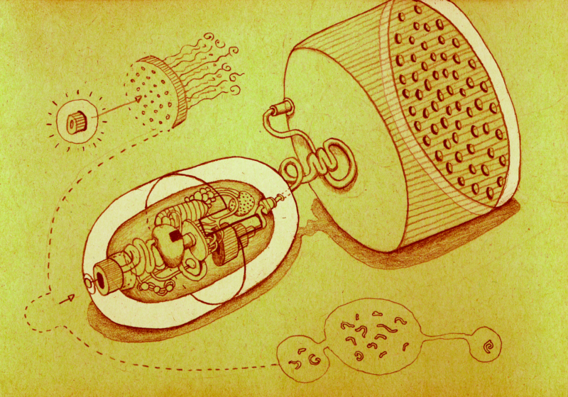 Elephant Studio   ­