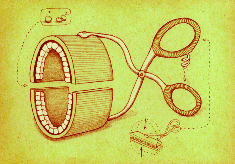 Elephant Studio   ­