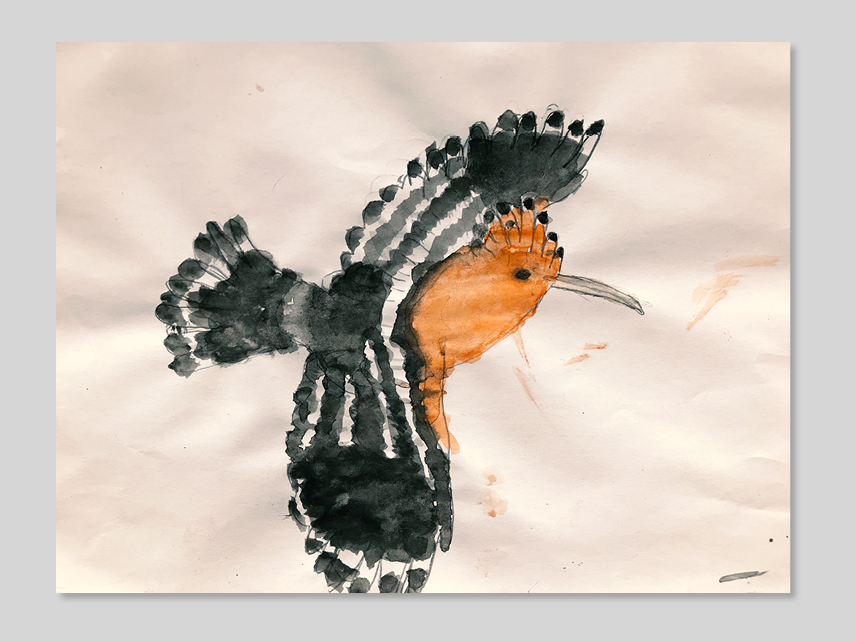 Elephant Studio   ­