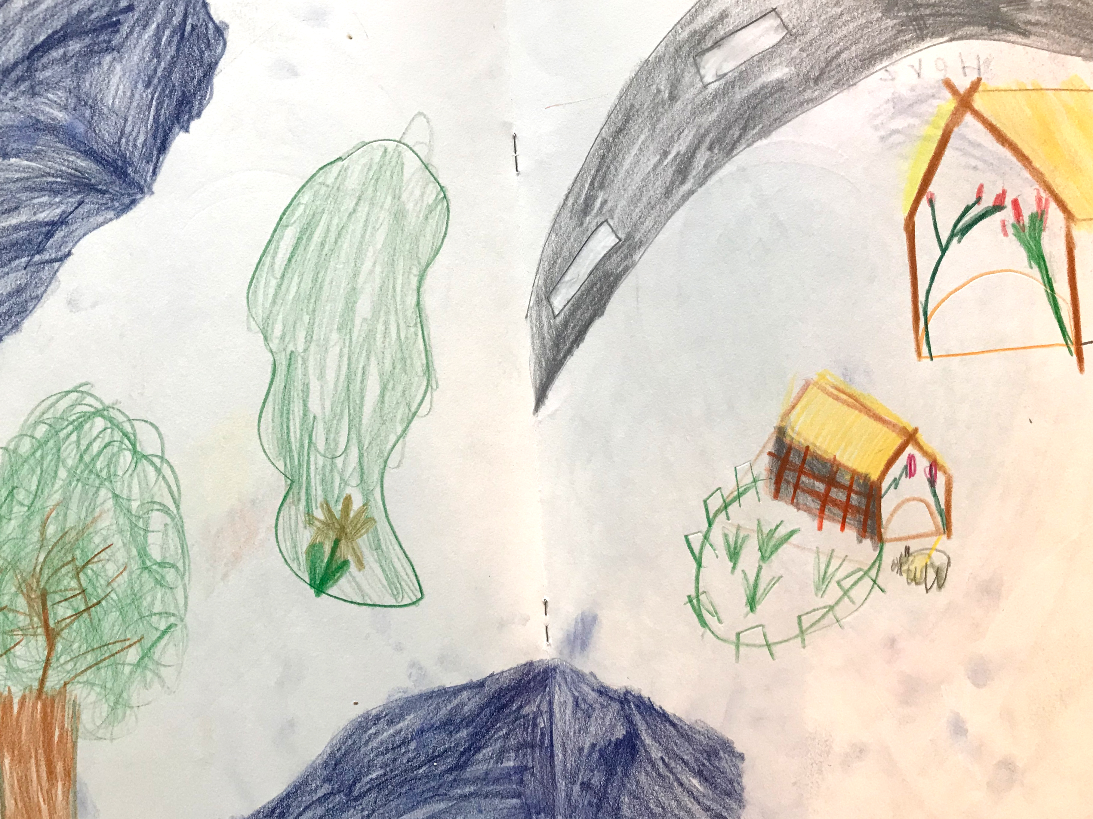 Elephant Studio   ­