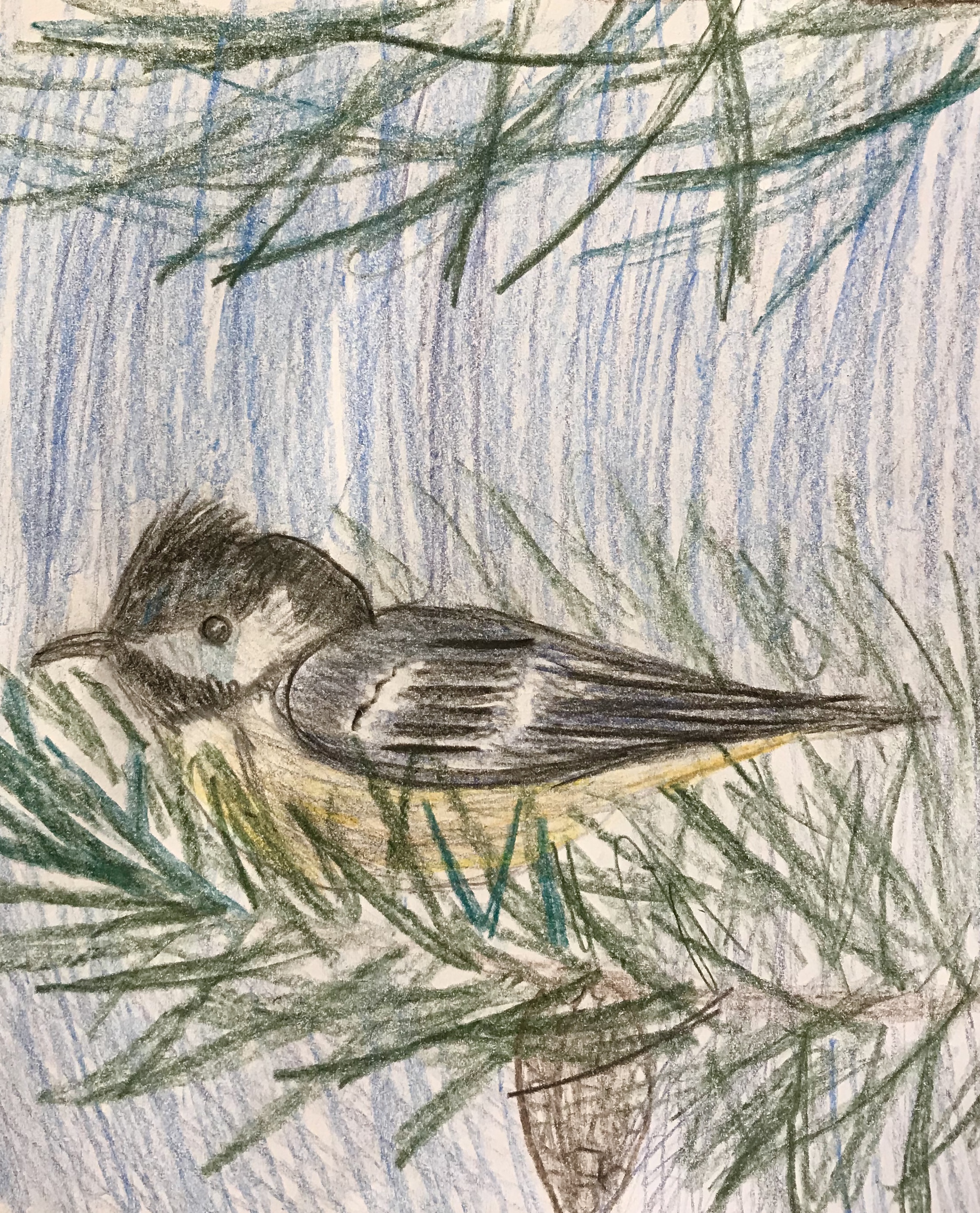 Elephant Studio   ­