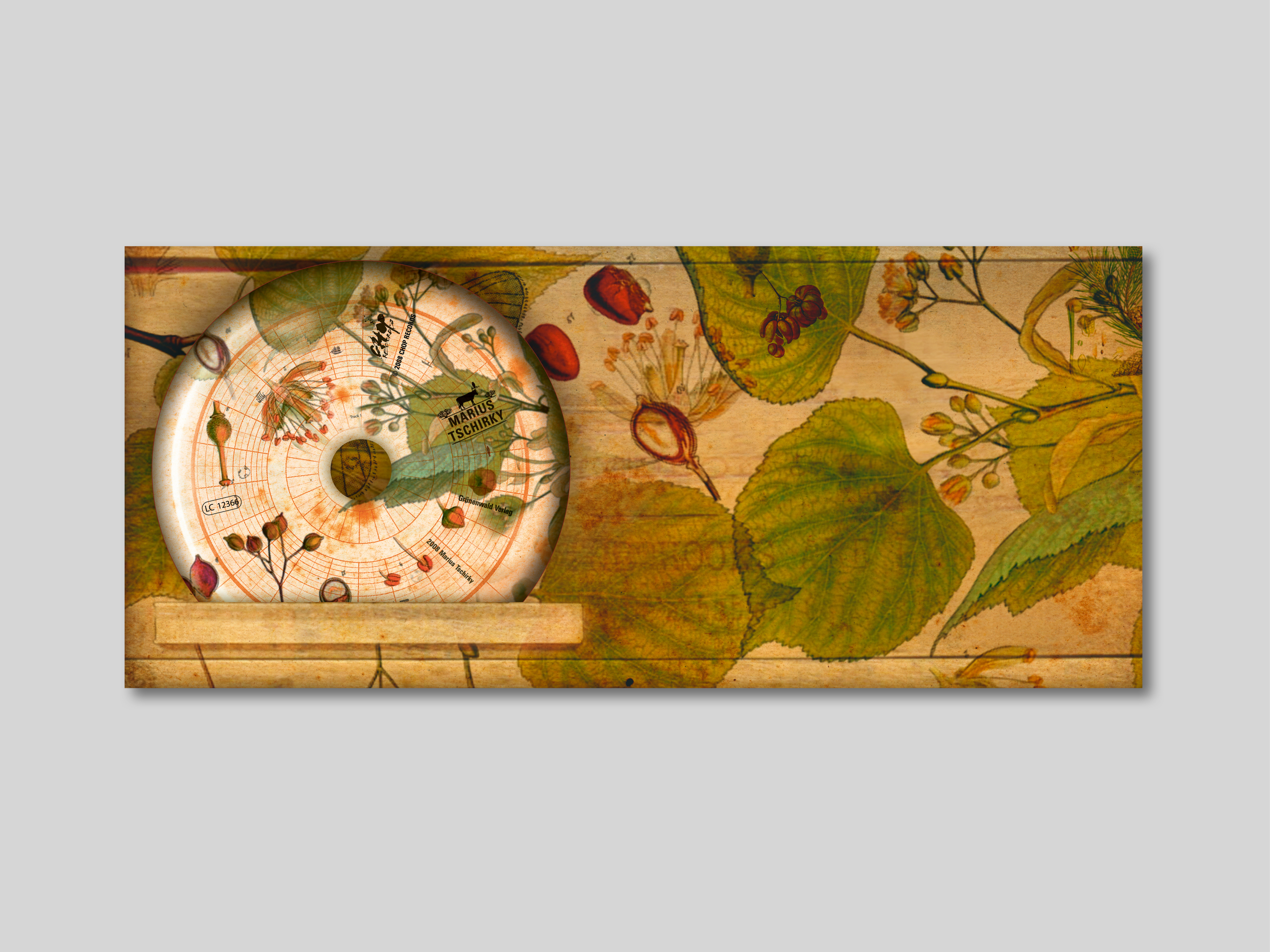 Elephant Studio   ­