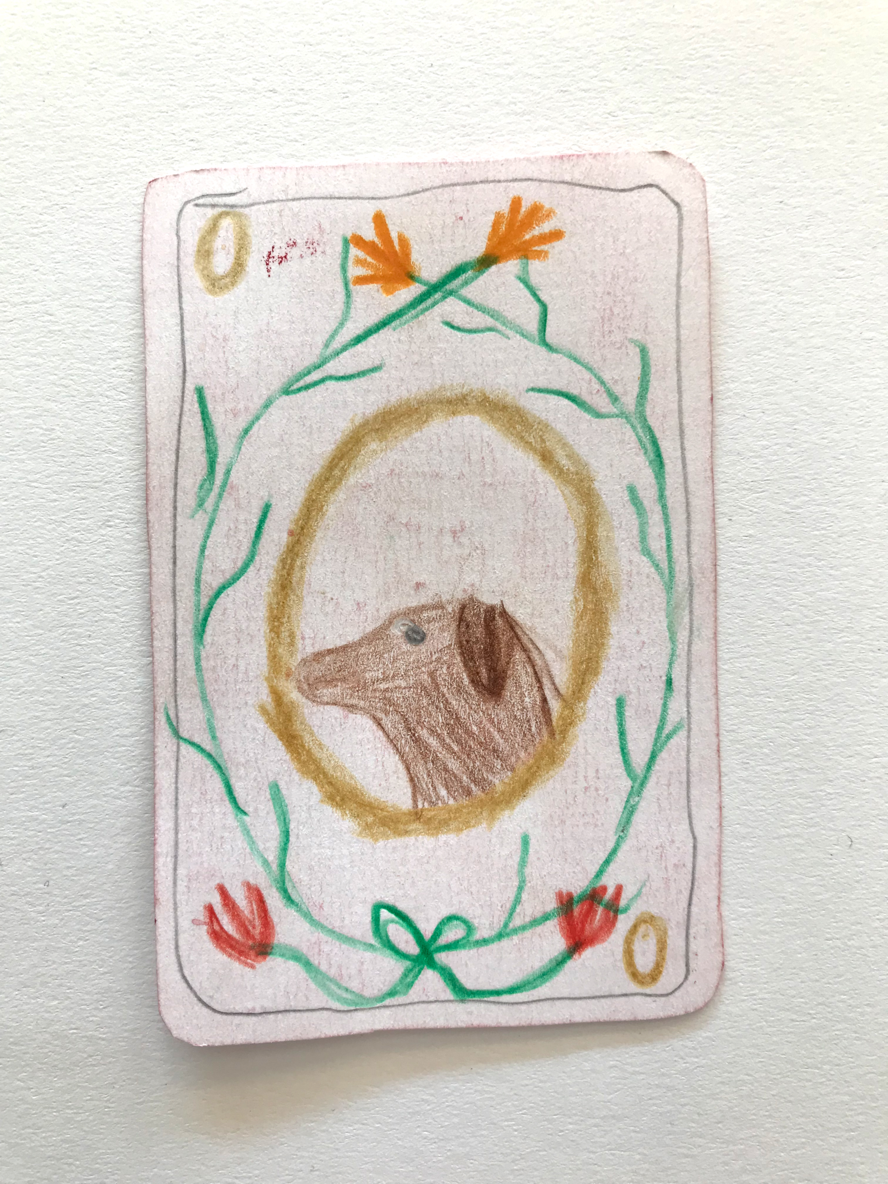 Elephant Studio   ­