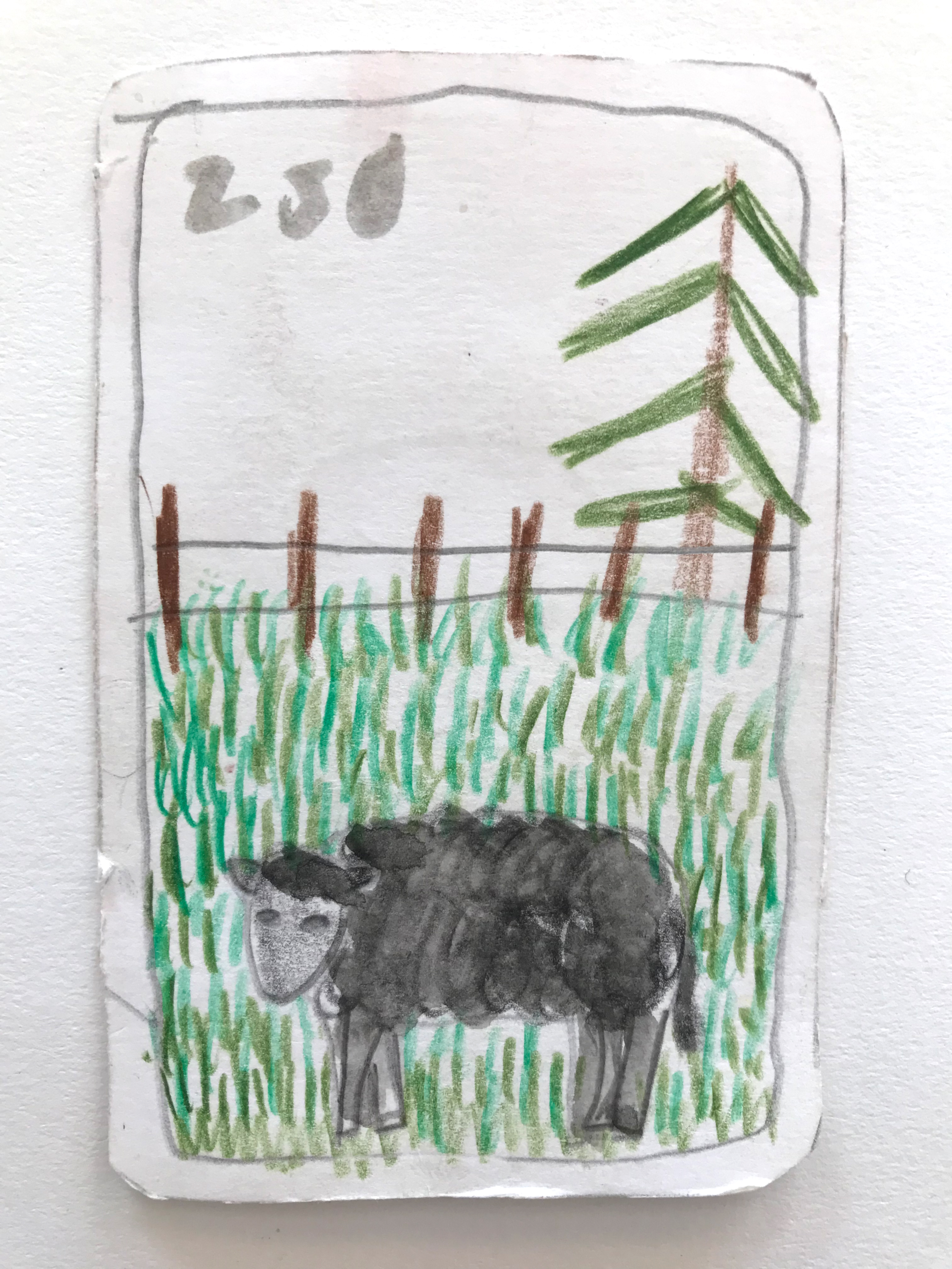 Elephant Studio   ­