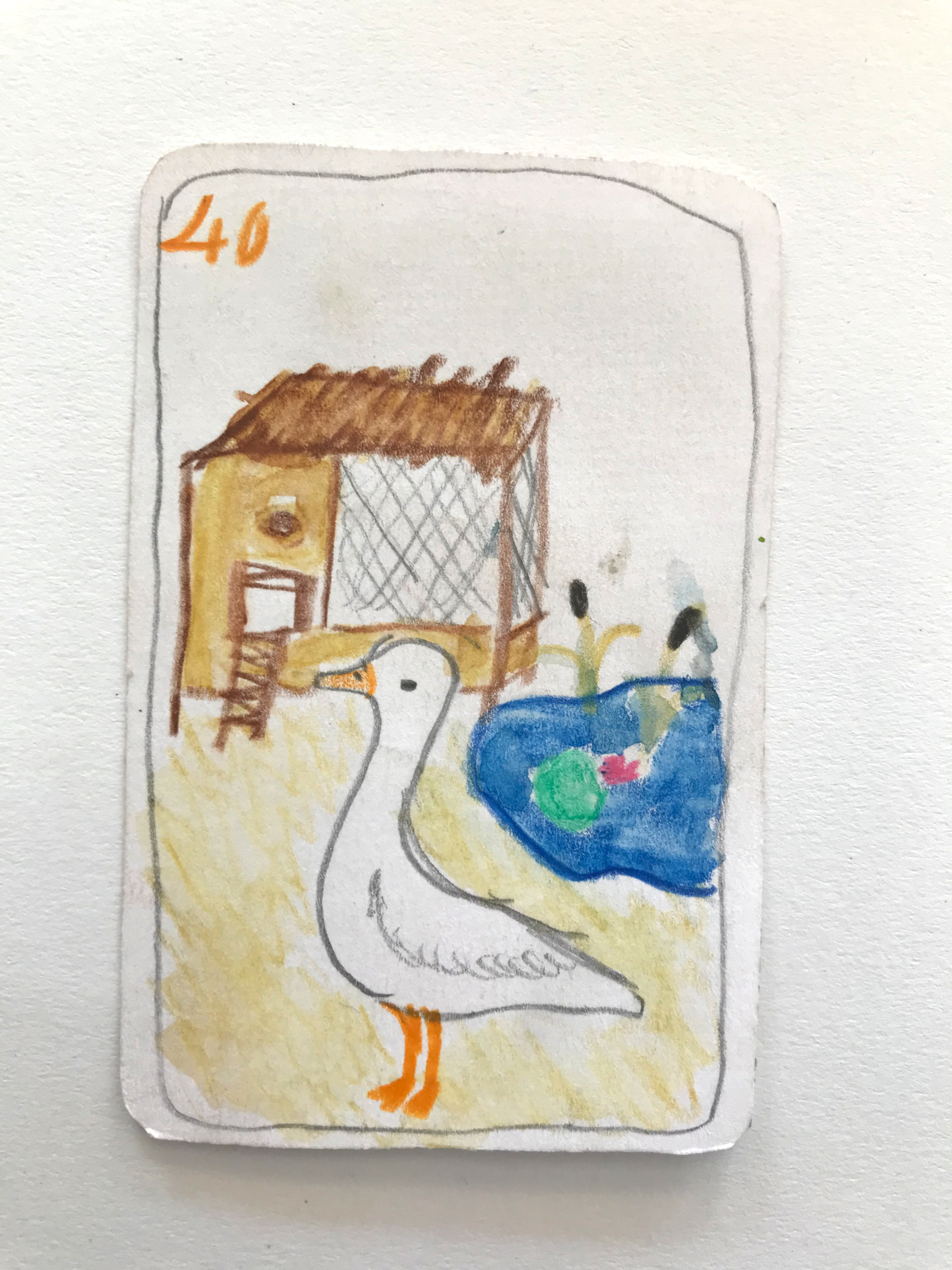 Elephant Studio   ­