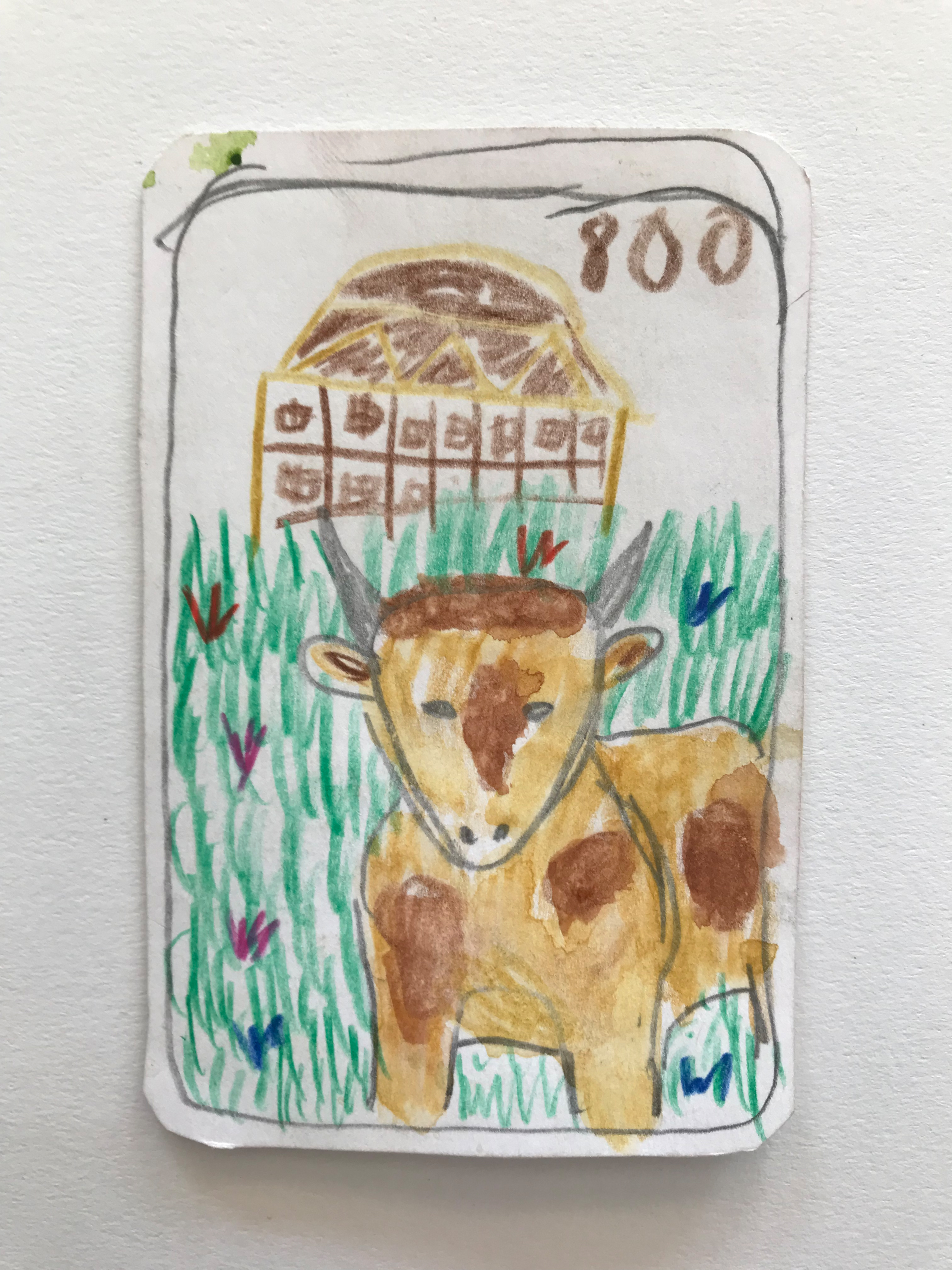 Elephant Studio   ­