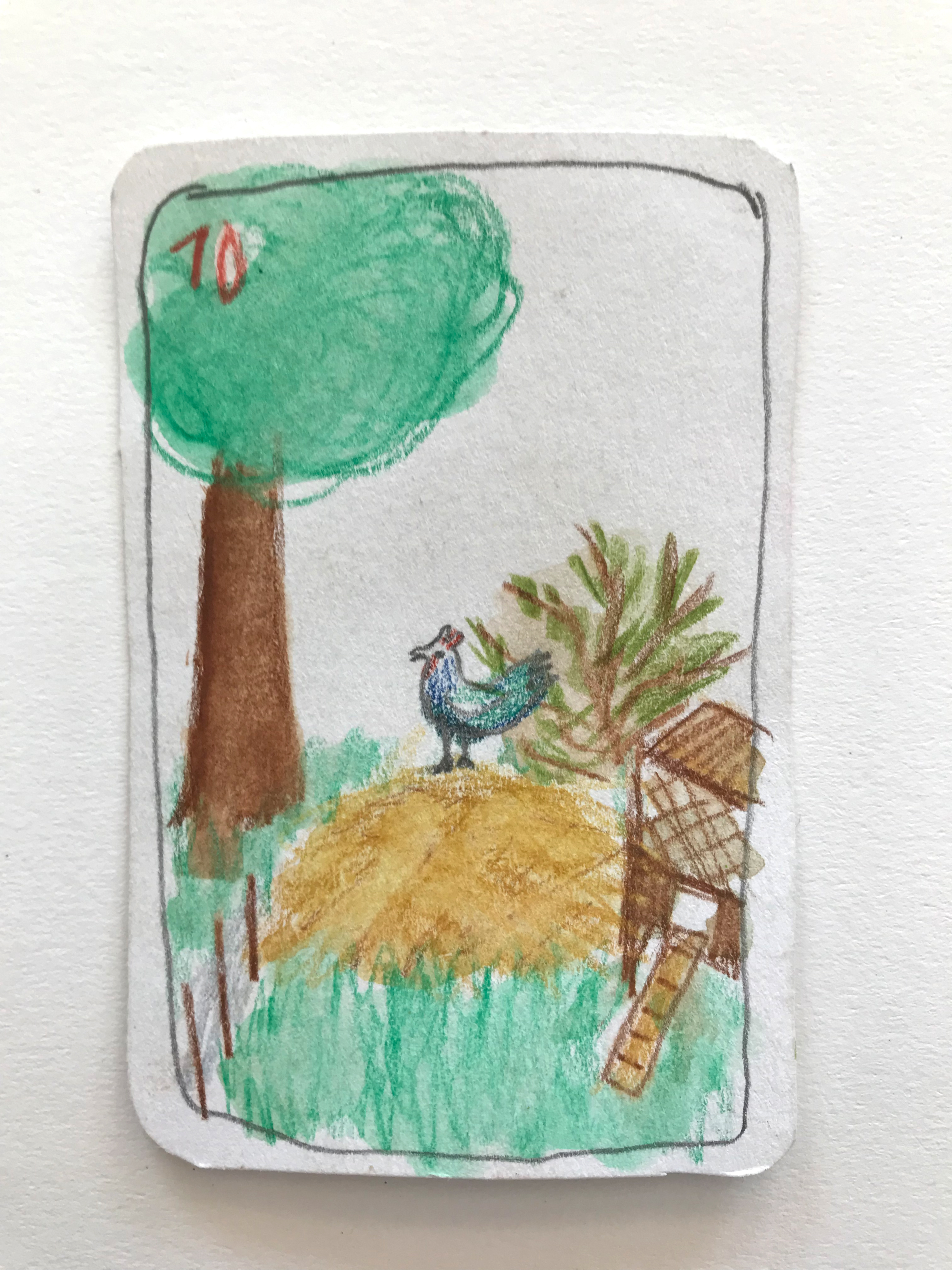 Elephant Studio   ­