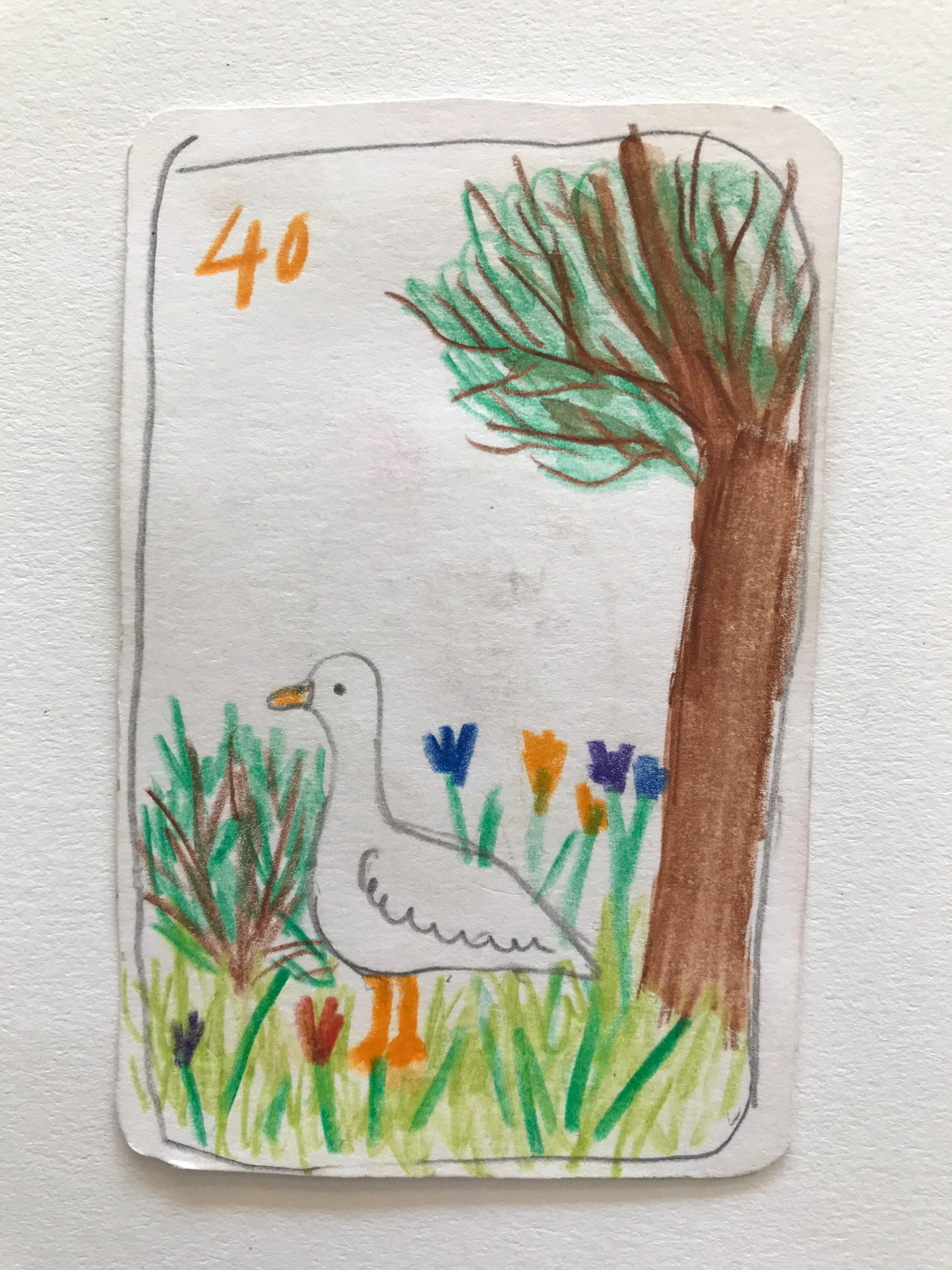 Elephant Studio   ­