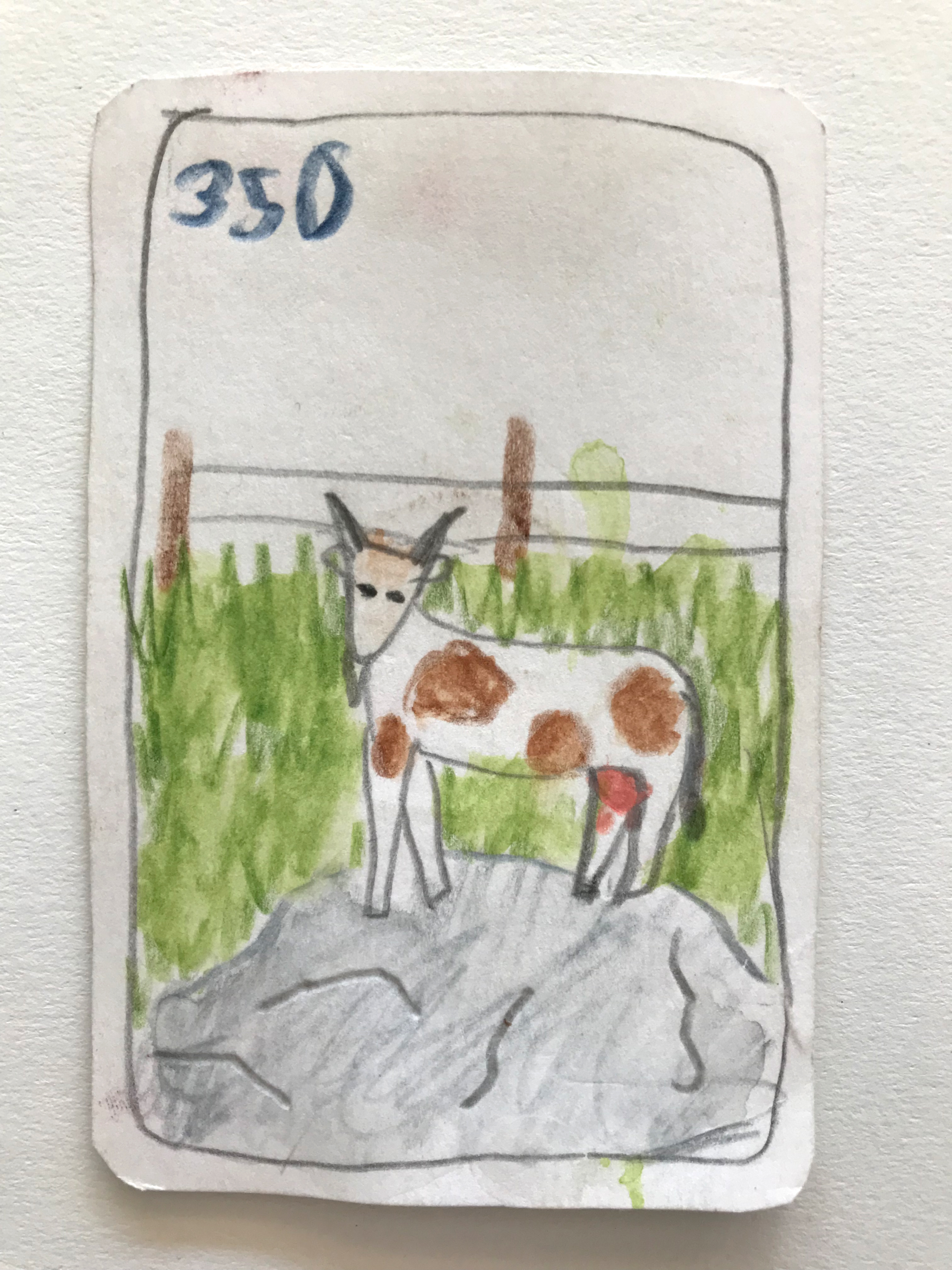 Elephant Studio   ­