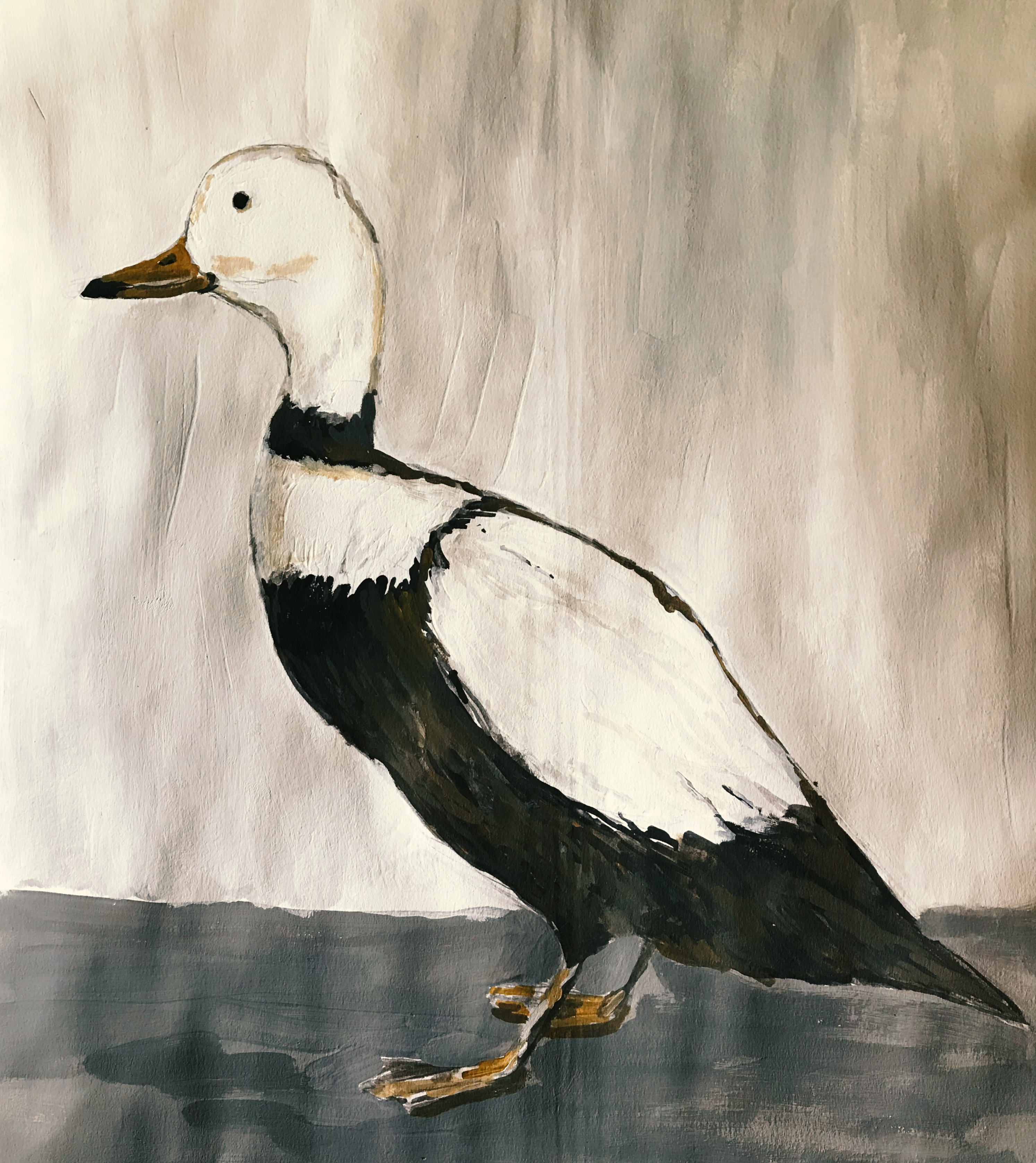 Elephant Studio   ­