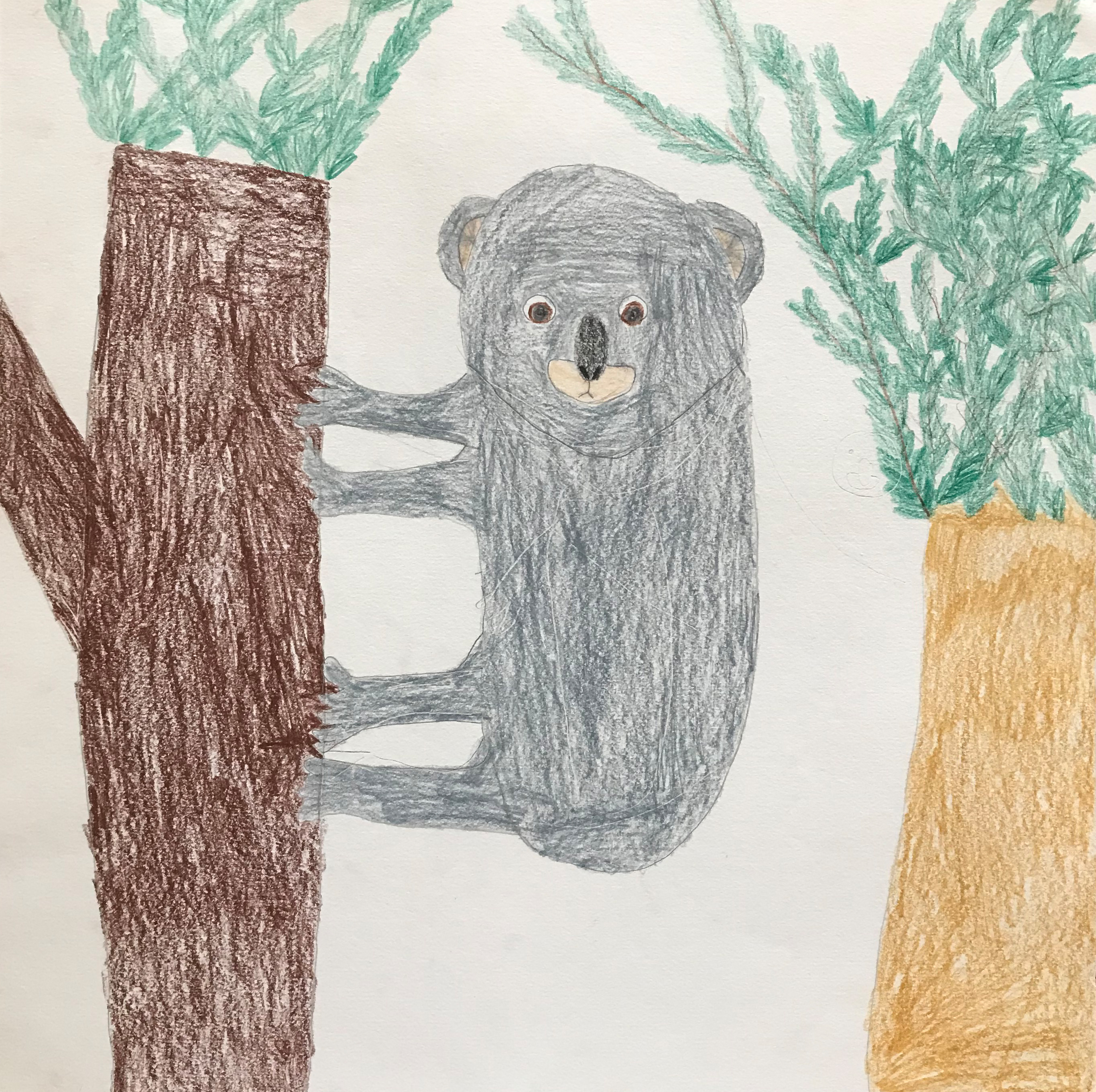 Elephant Studio   ­