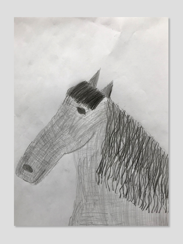 Elephant Studio   ­