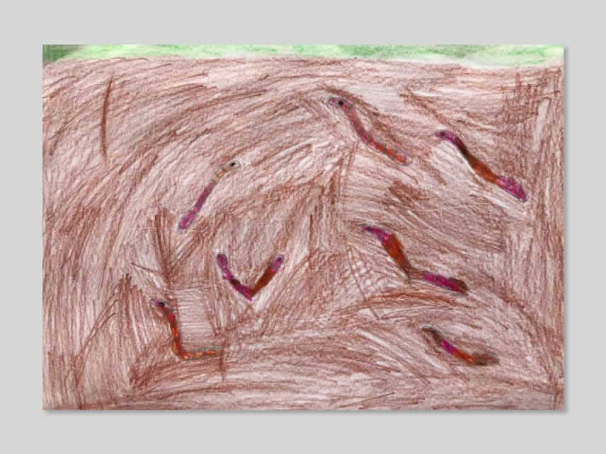 Elephant Studio   ­