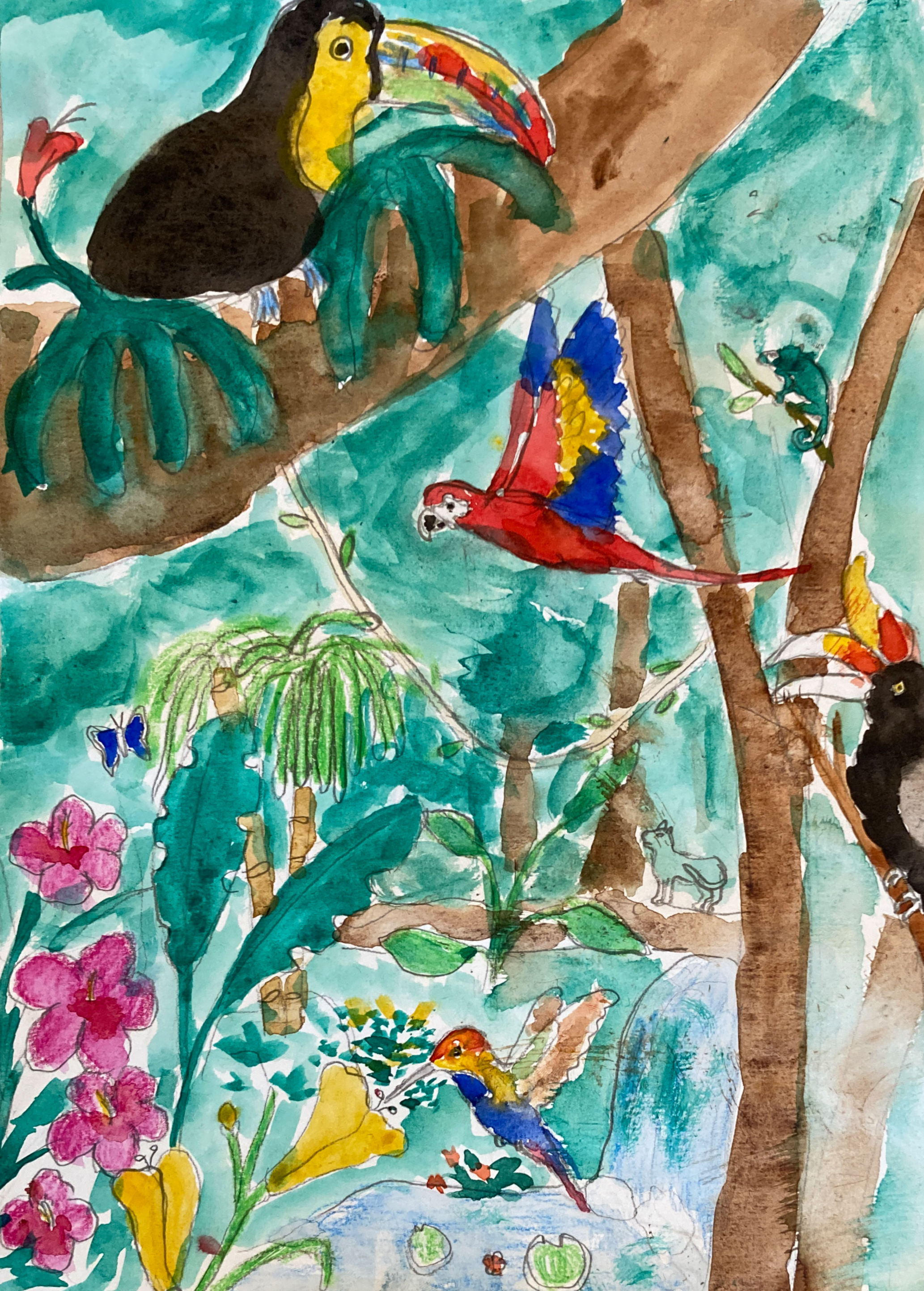 Elephant Studio   ­