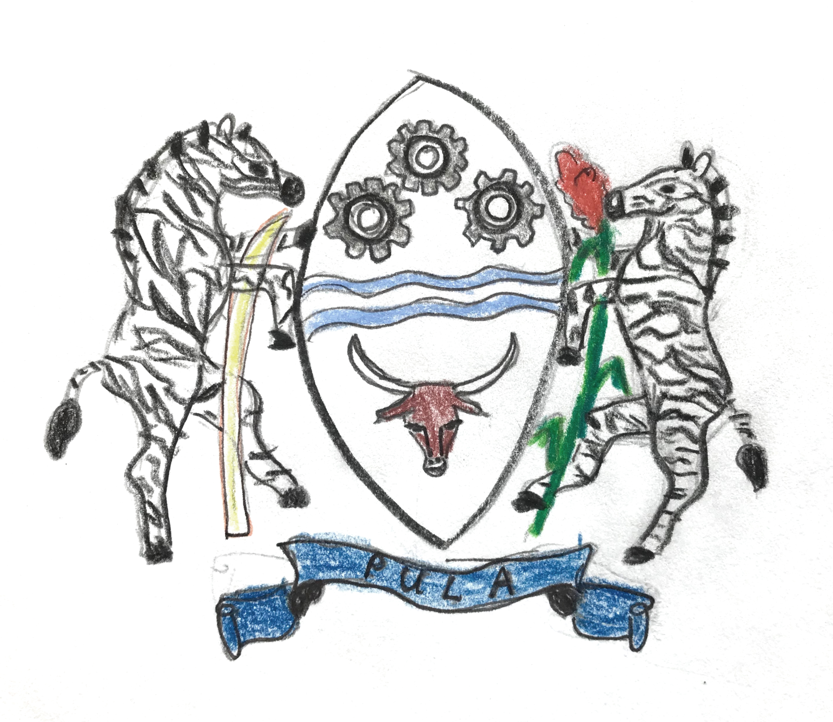 Elephant Studio   ­