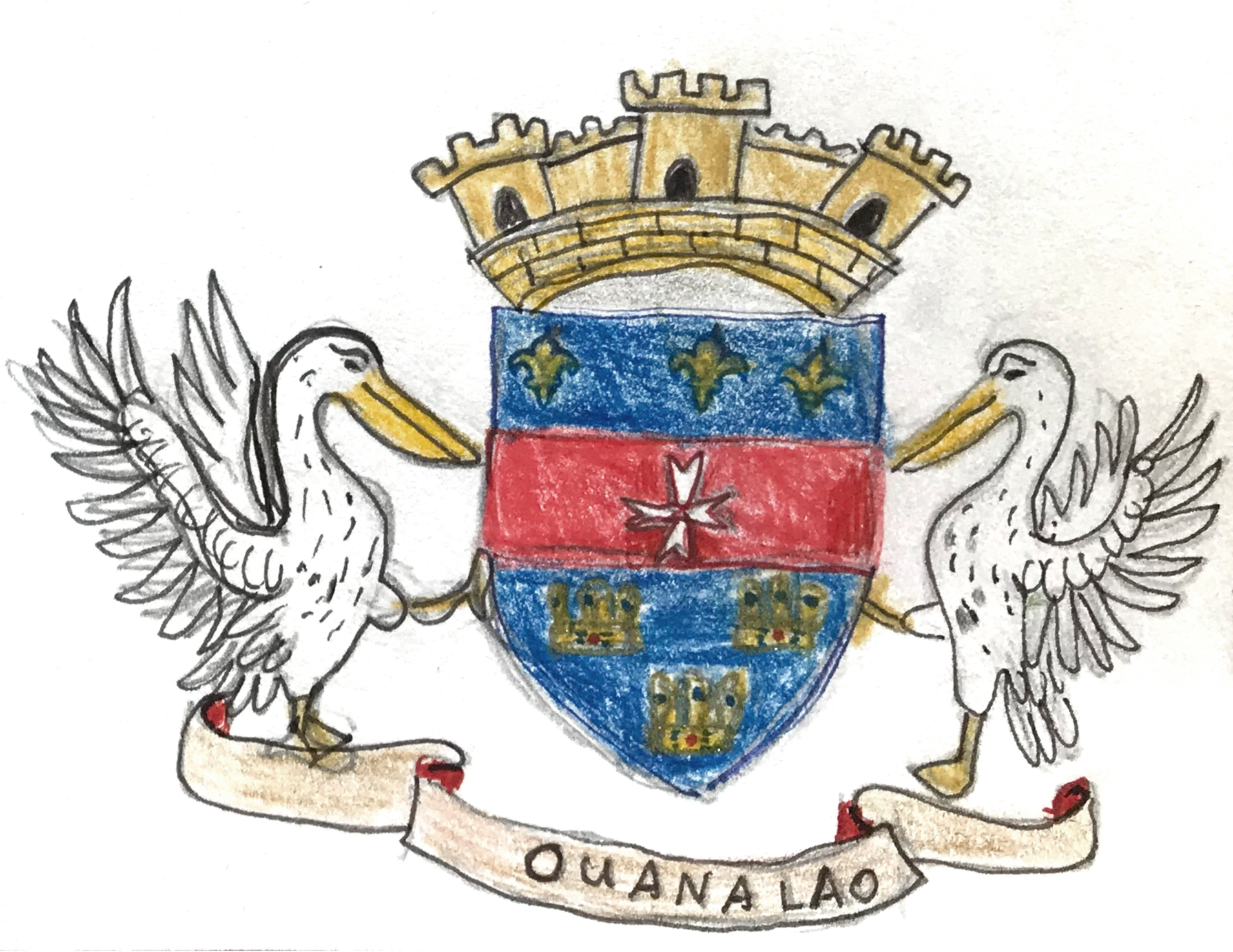 Elephant Studio   ­