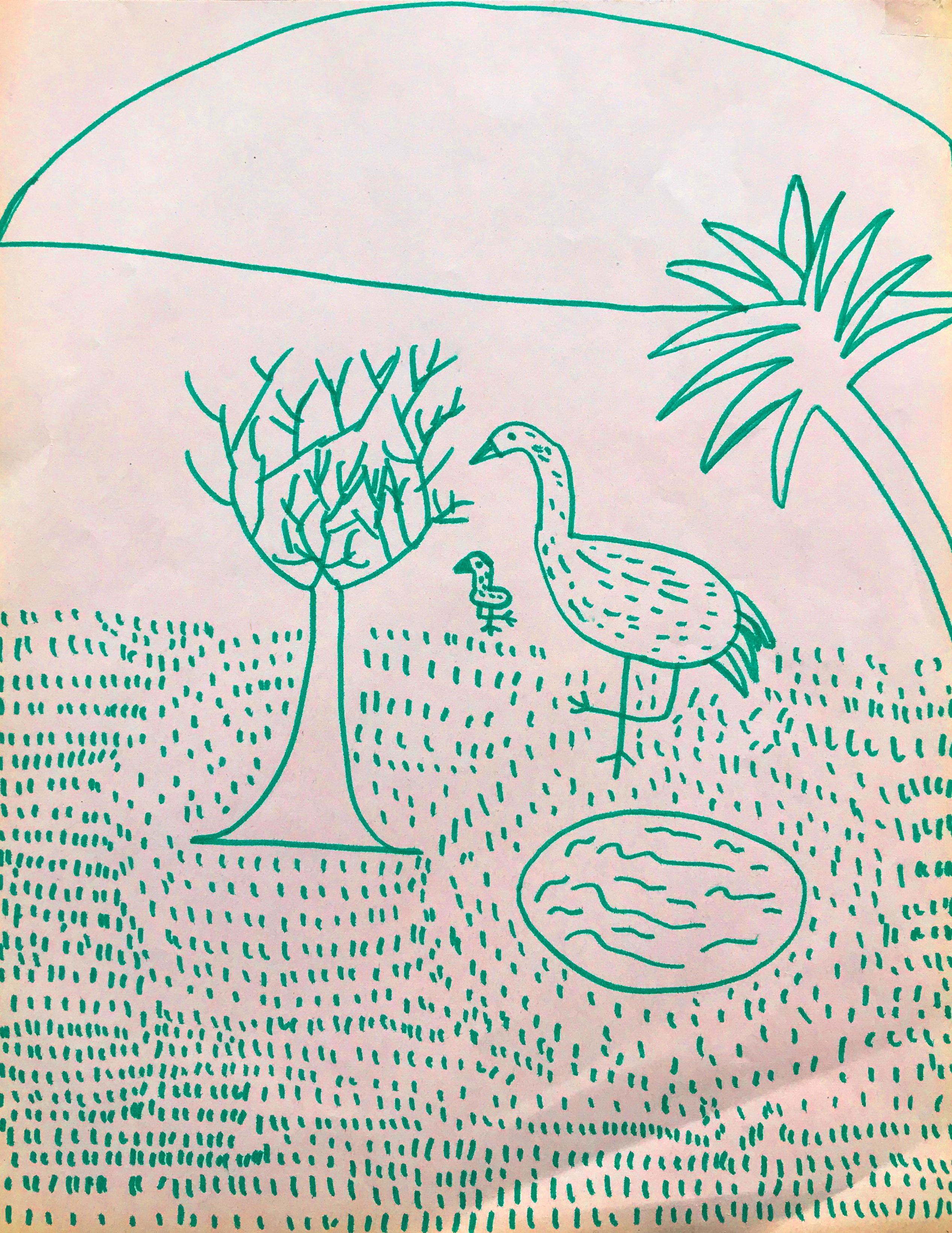 Elephant Studio   ­