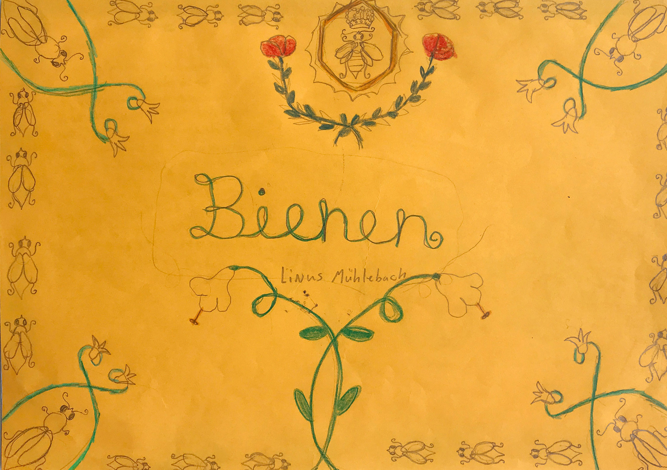 Elephant Studio   ­