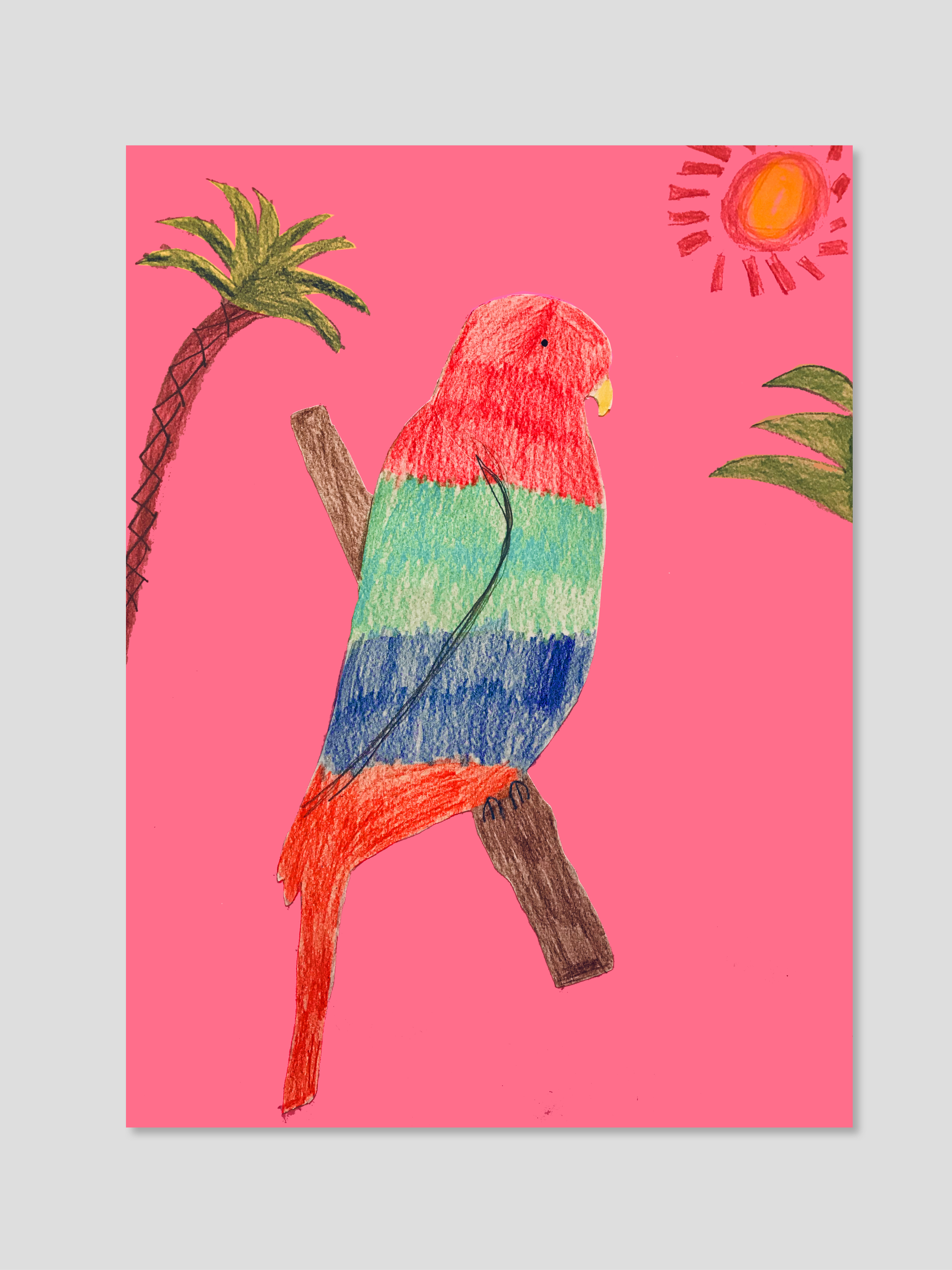 Elephant Studio   ­