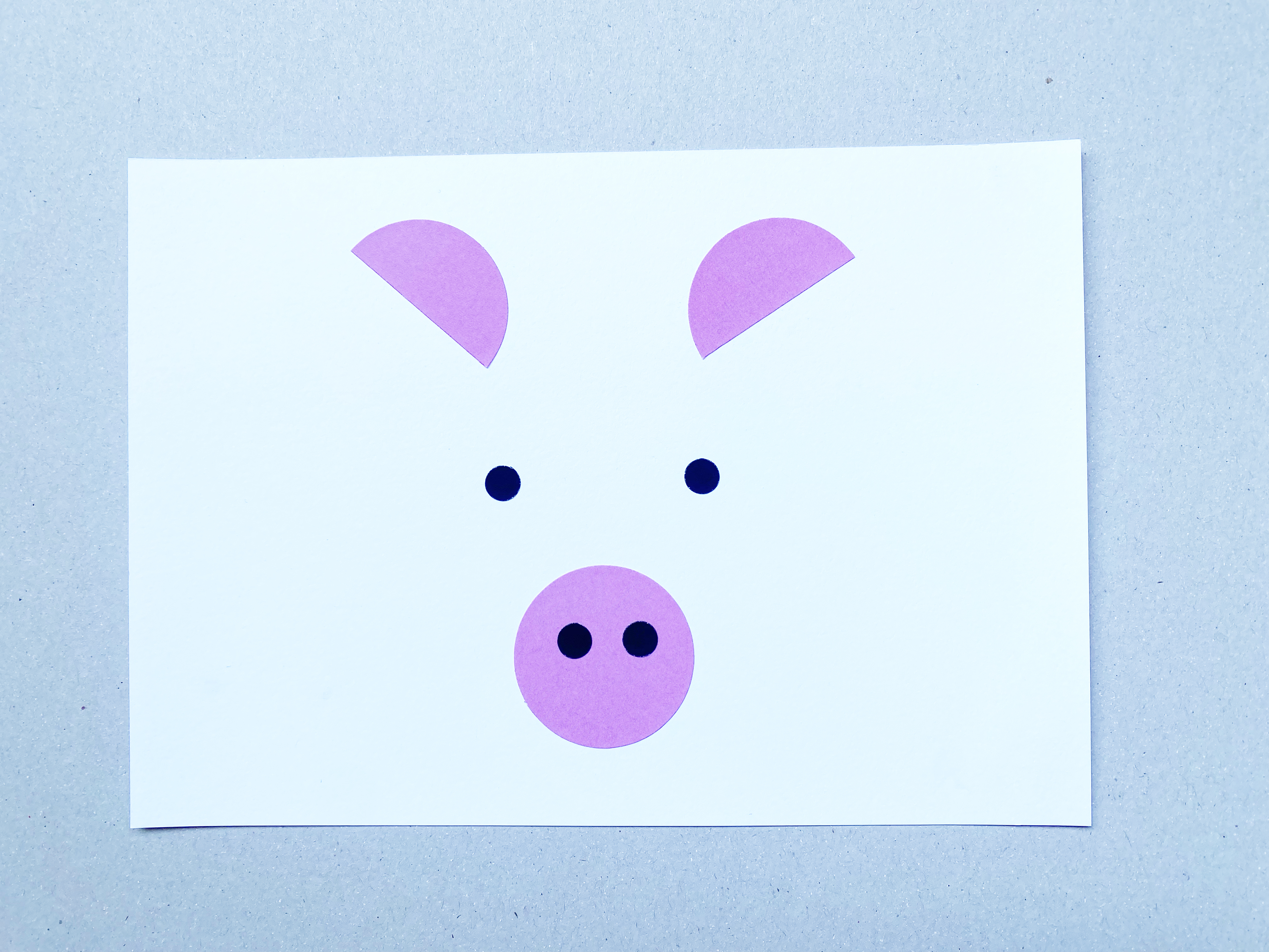 Elephant Studio   ­